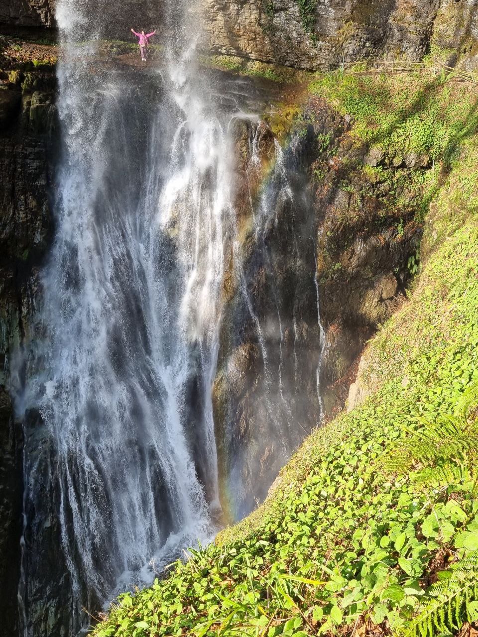 Другая Абхазия: цветущая глициния (3/21)