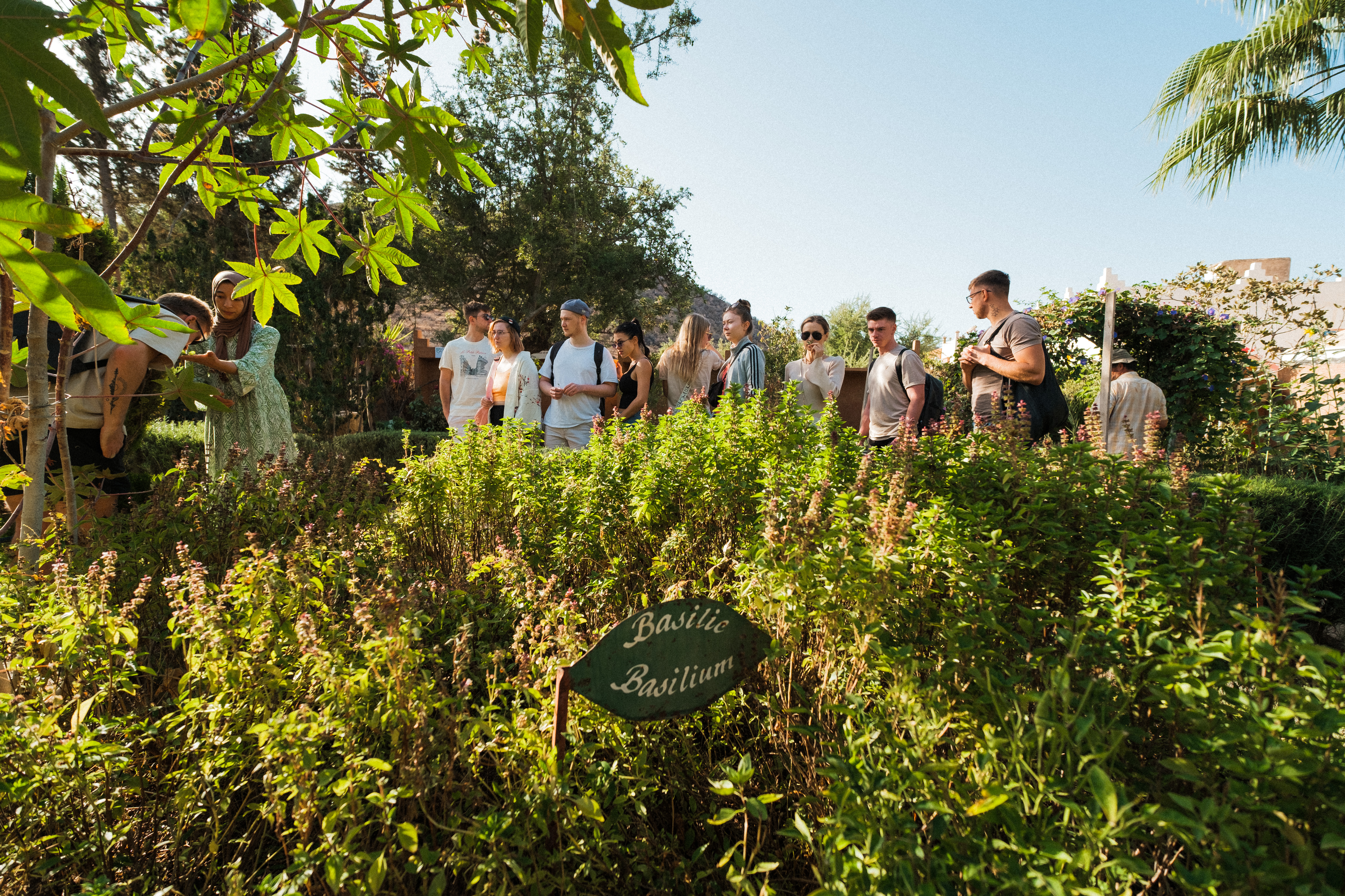 Марокко - сёрф, волны и свобода (4/52)