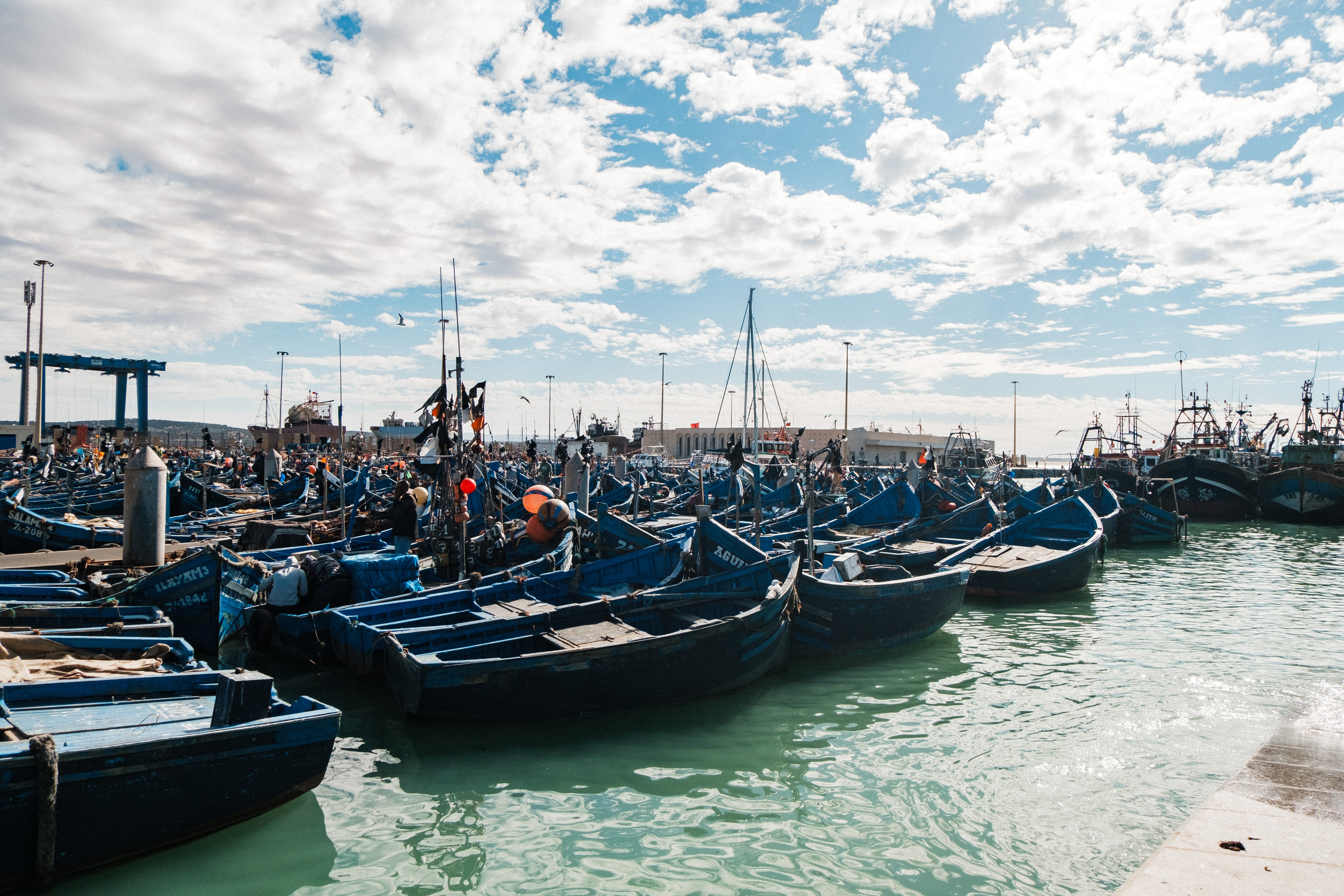 Марокко - сёрф, волны и свобода (22/52)