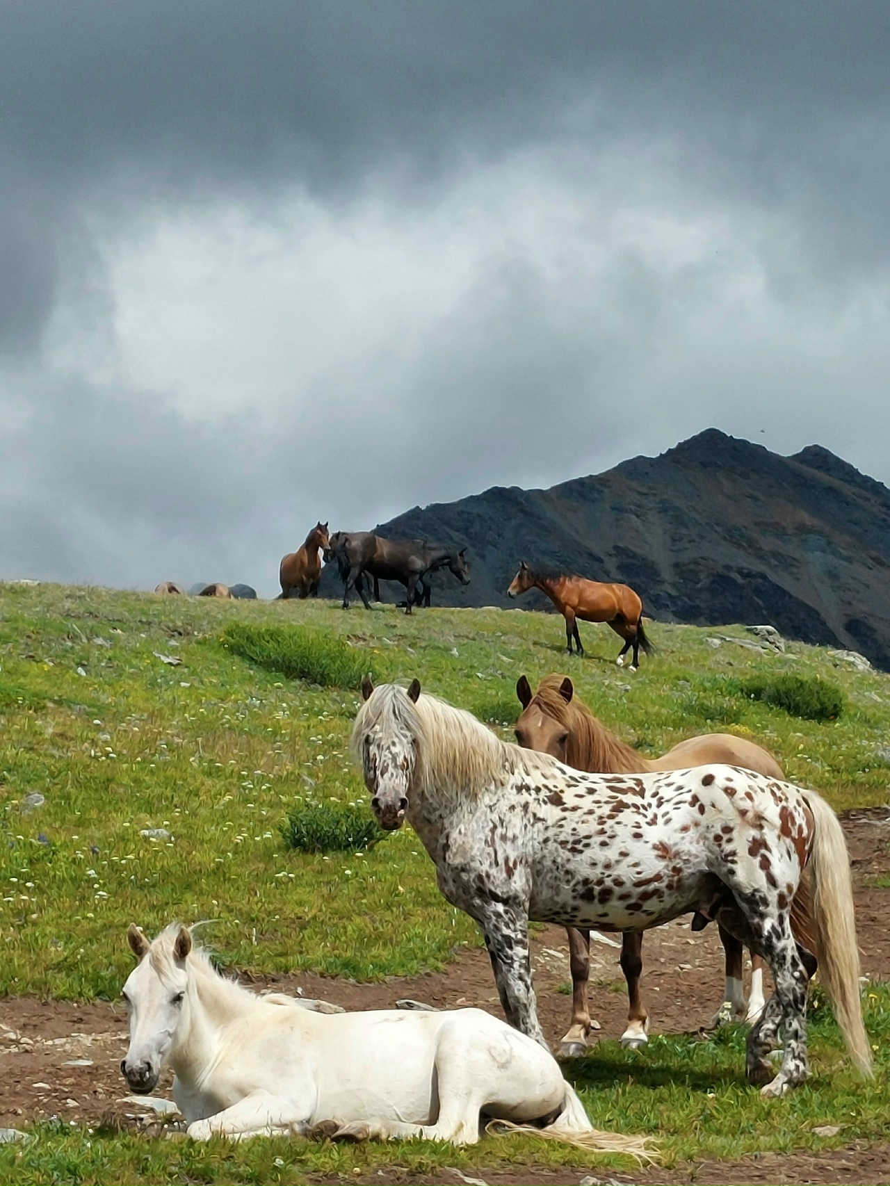 Джип-тур Алтай. Грани высокогорья. (21/47)