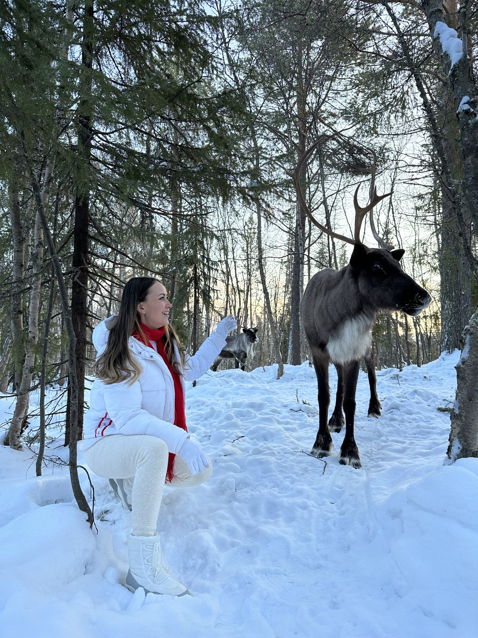 Айсфлоатинг, снегоходы, северное сияние. Комфорт тур до 7 чел. Хибины. (8/37)