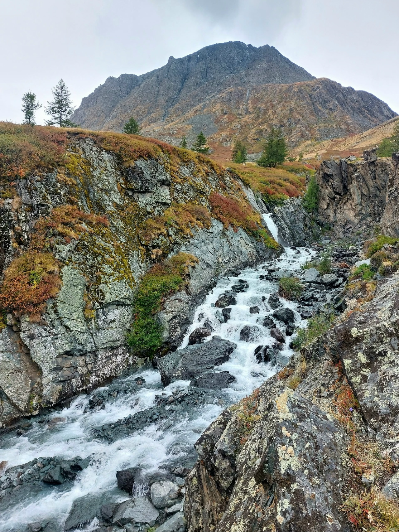 Джип-тур Алтай. Грани высокогорья. (32/47)
