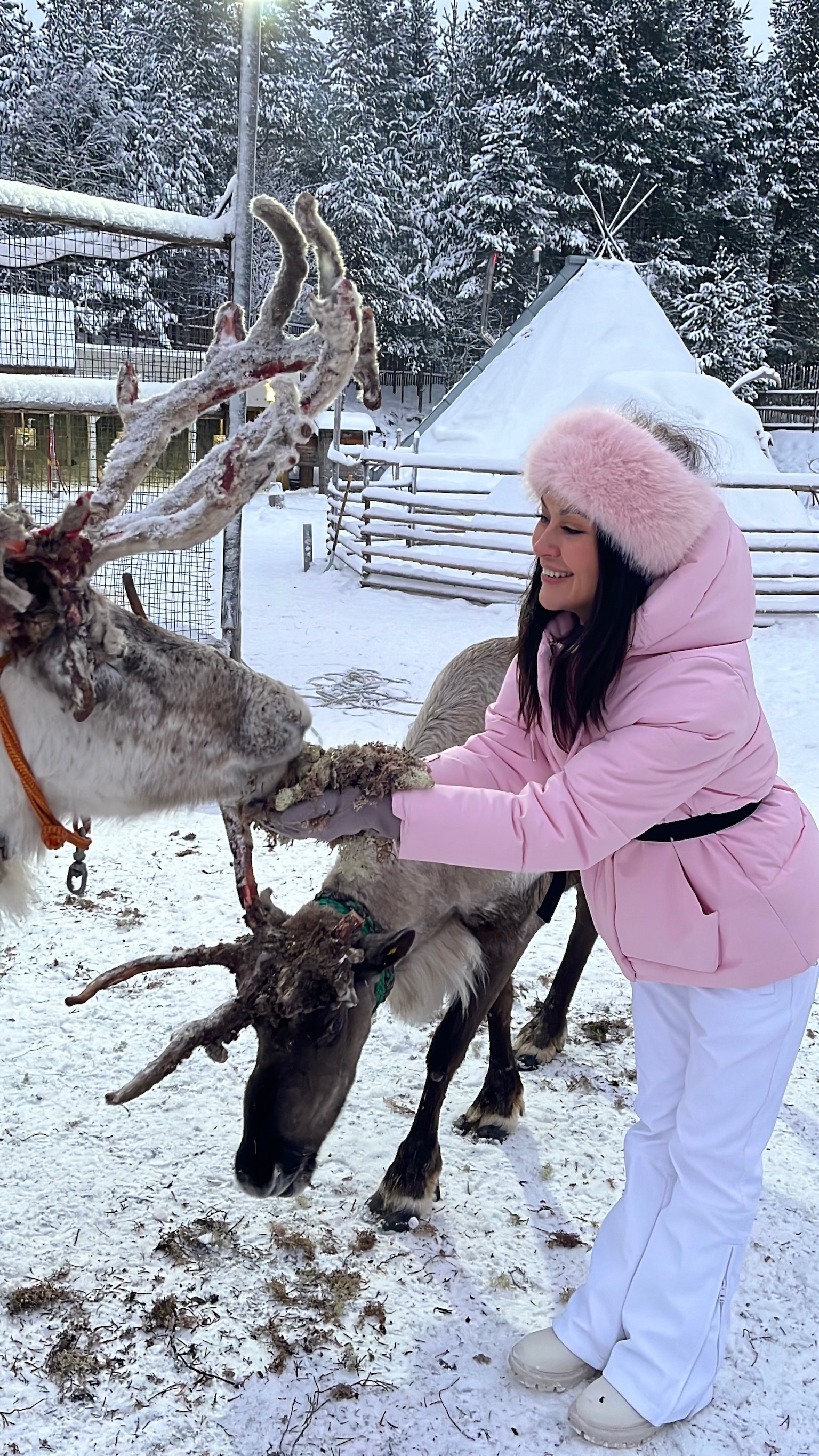 Айсфлоатинг, снегоходы, северное сияние. Комфорт тур до 7 чел. Хибины. (17/37)