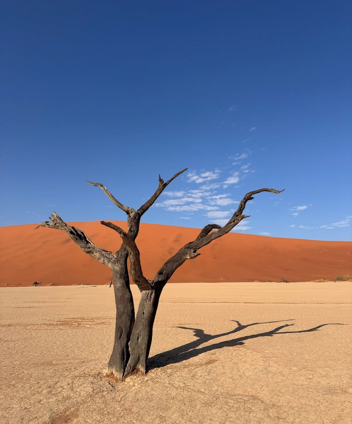 Намибия - земля дюн, пустынь и вечных горизонтов