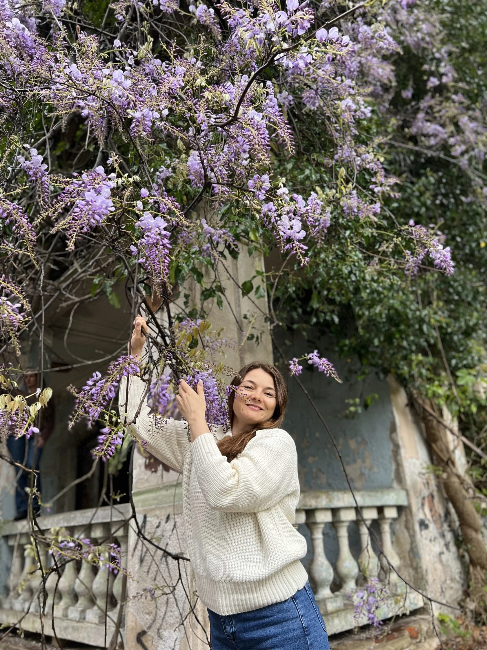 Другая Абхазия: цветущая глициния (6/21)