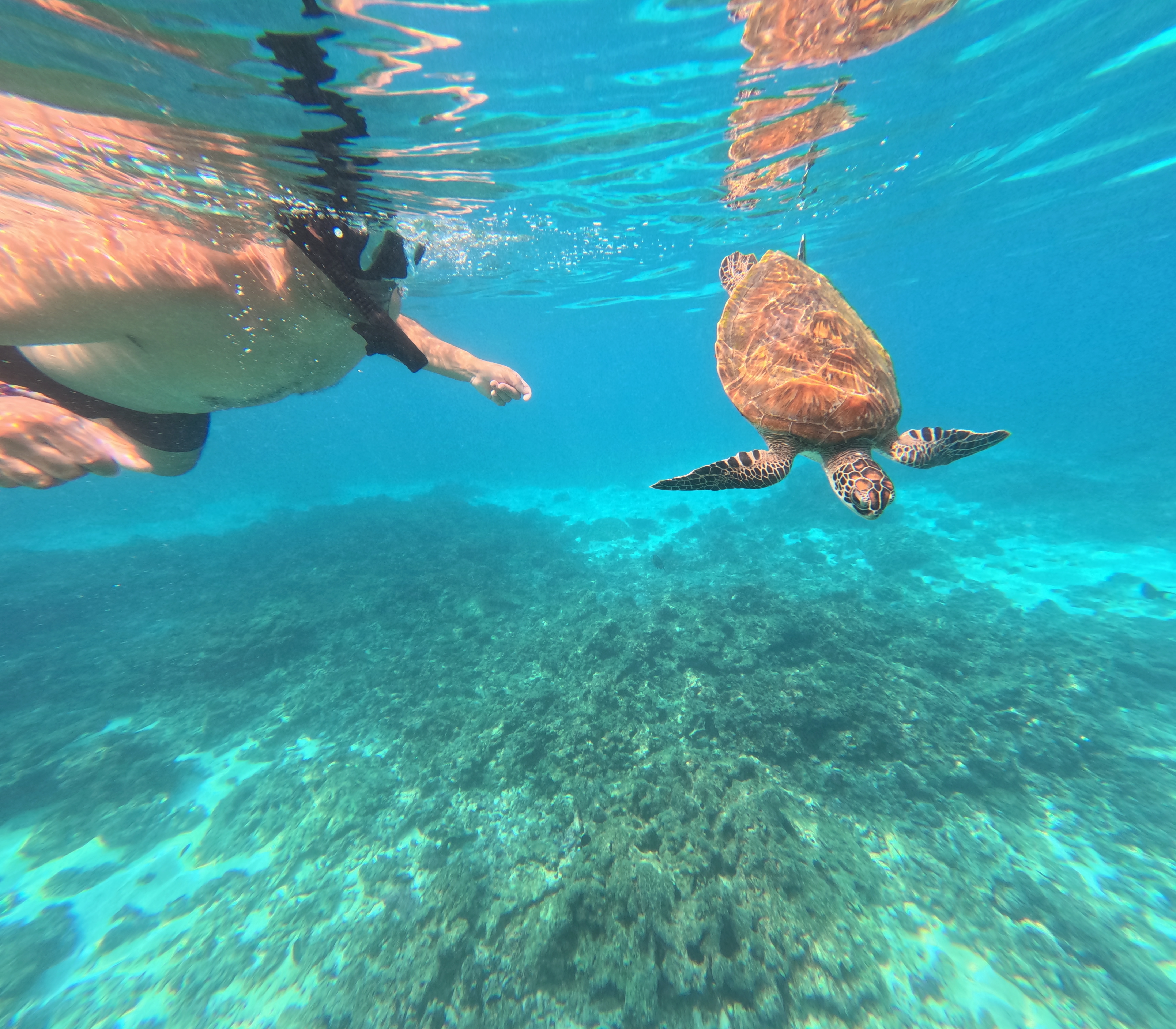 Жемчужина Аравии. Тур в Оман (46/51)