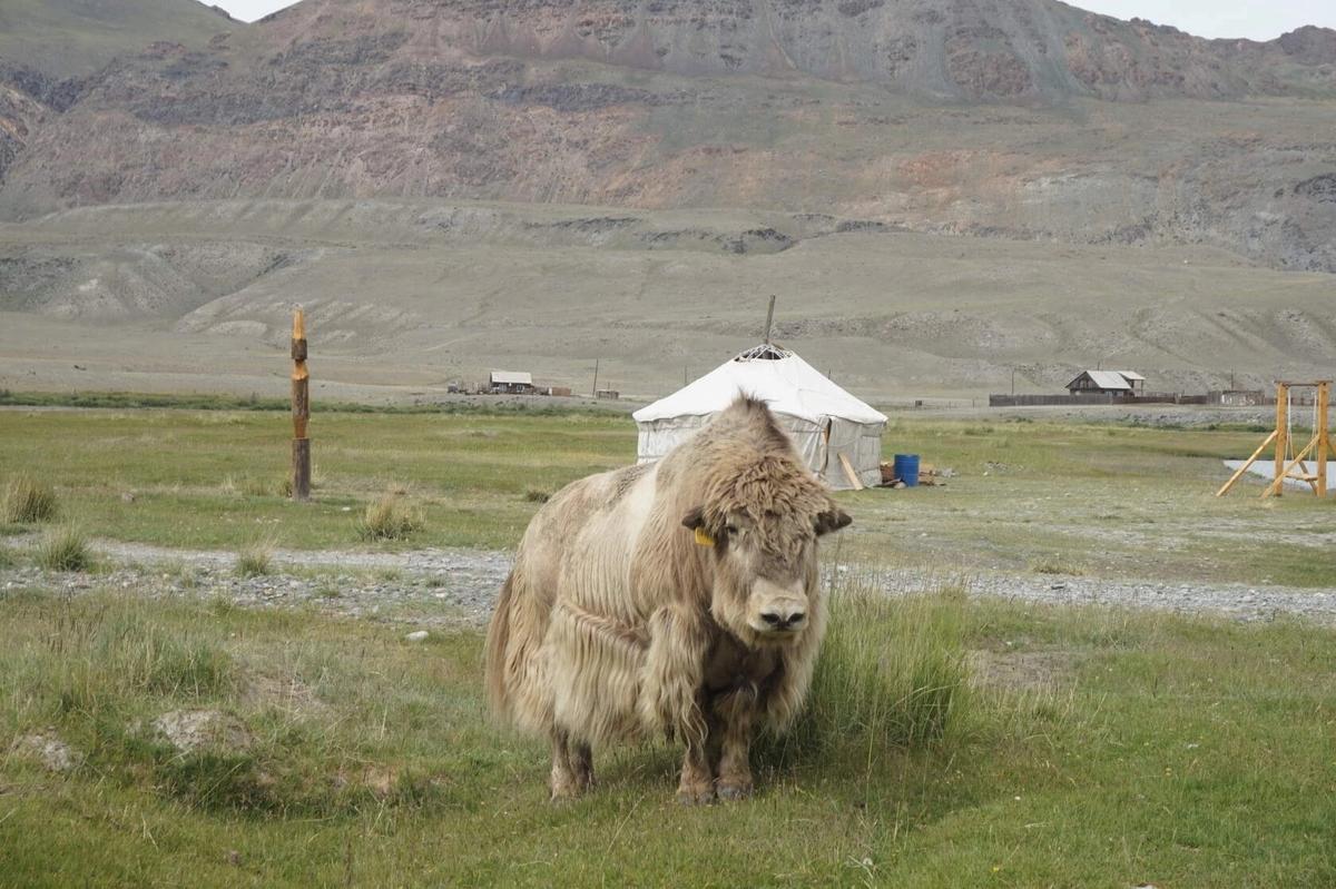 Джип-тур Алтай. Грани высокогорья. (5/47)