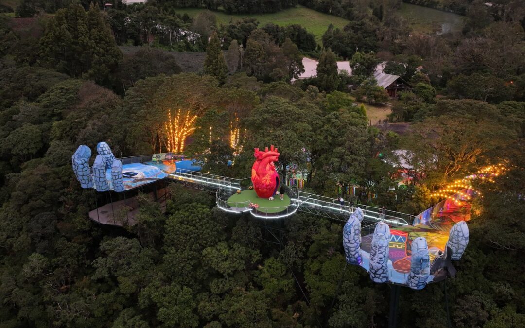 12 дней от Анд до побережья: разнообразные деликатесы Эквадора (17/32)