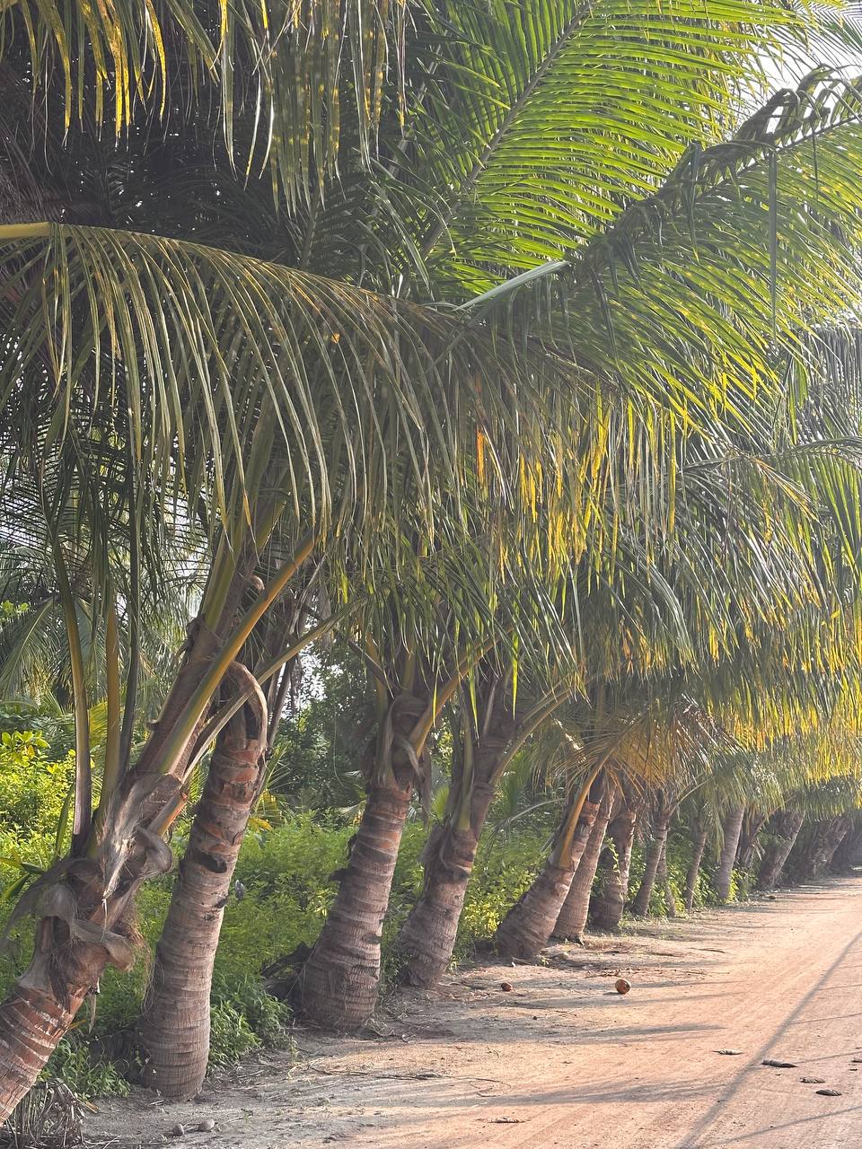 Магические Мальдивы (82/130)