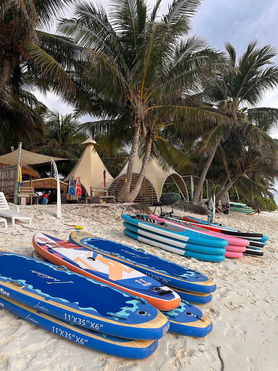 Яркие впечатления