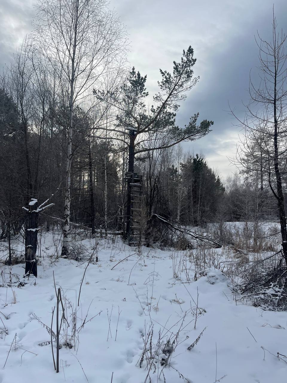 Зимний Байкал: От Тайги К Хрустальному Льду (9/18)