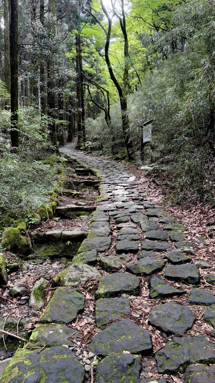 Активный тур в Японию (55/72)