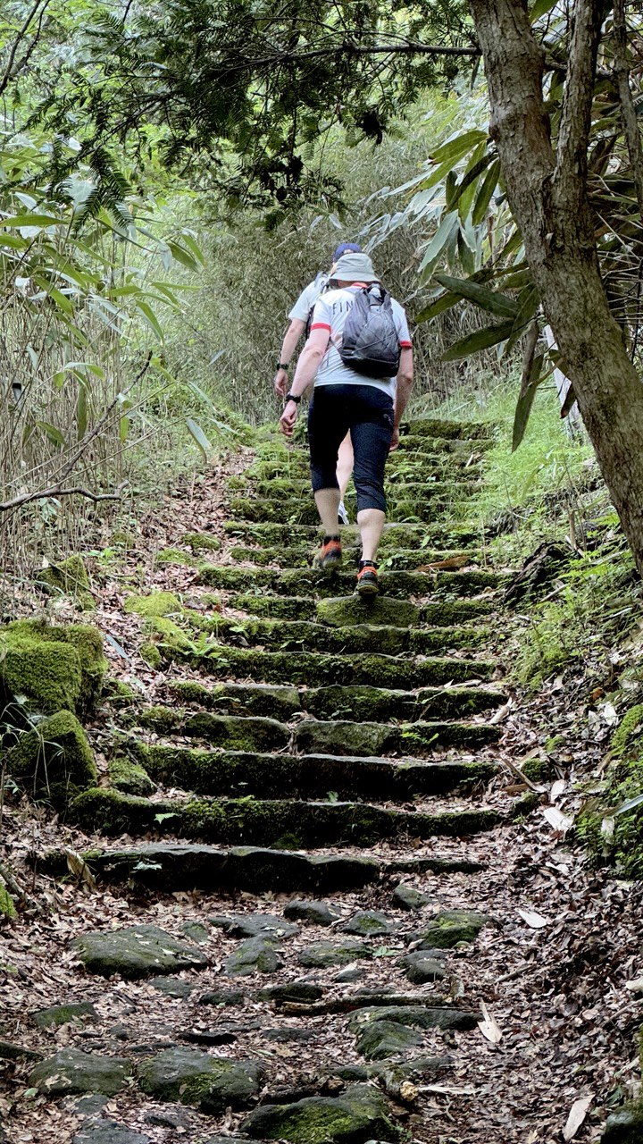 Активный тур в Японию (57/72)