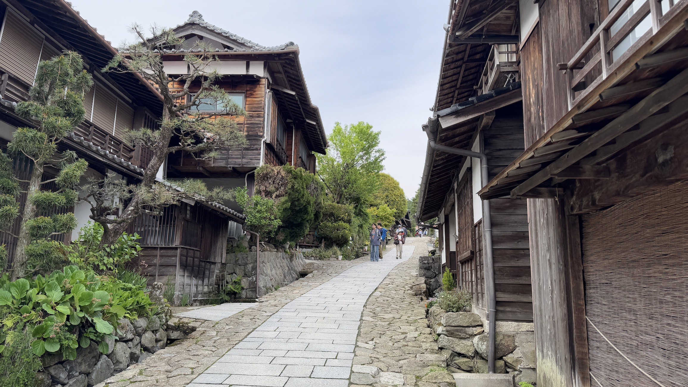 Активный тур в Японию (39/72)