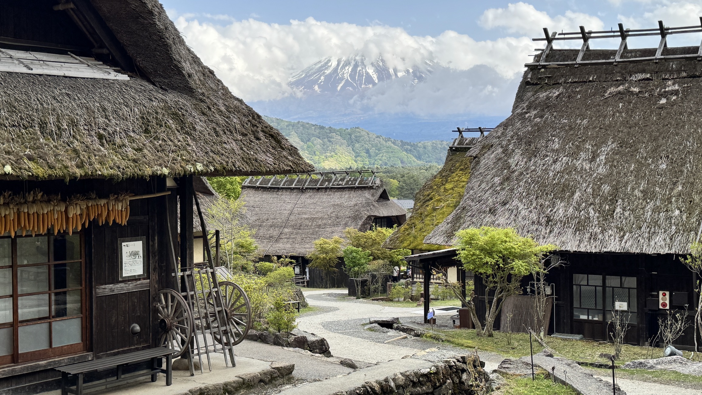 Активный тур в Японию