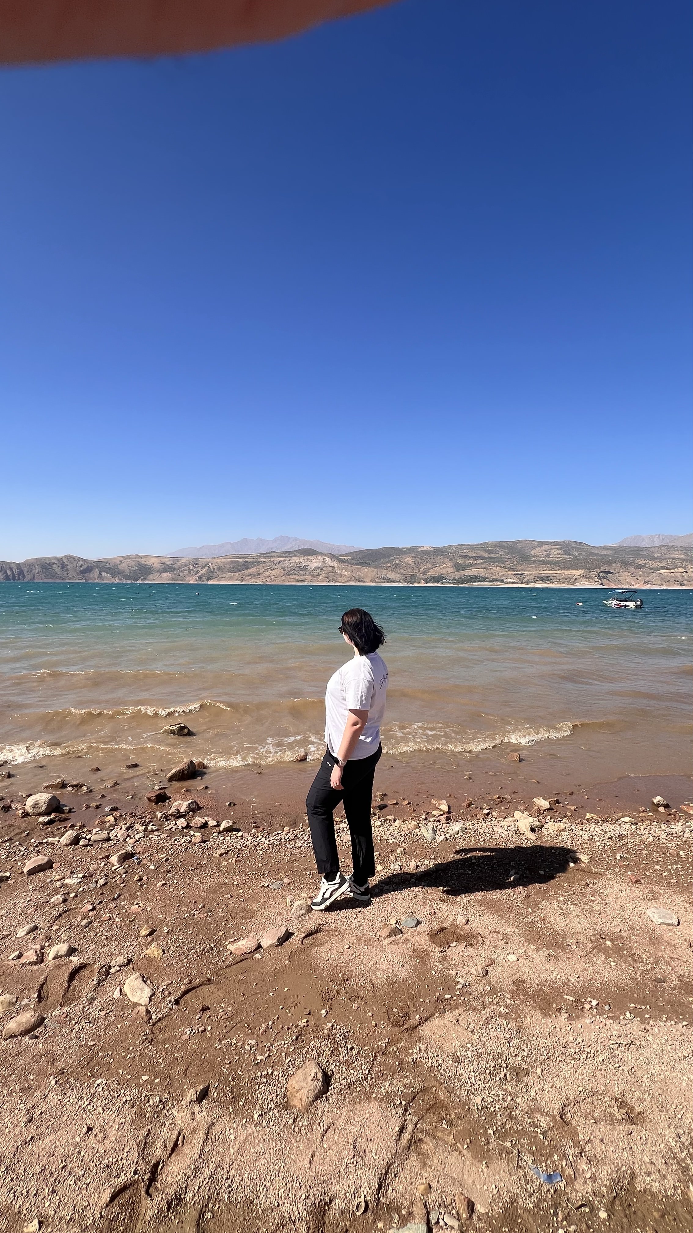 Незабываемое однодневное путешествие из Ташкента в сердце природы — Чимган и Чарвак