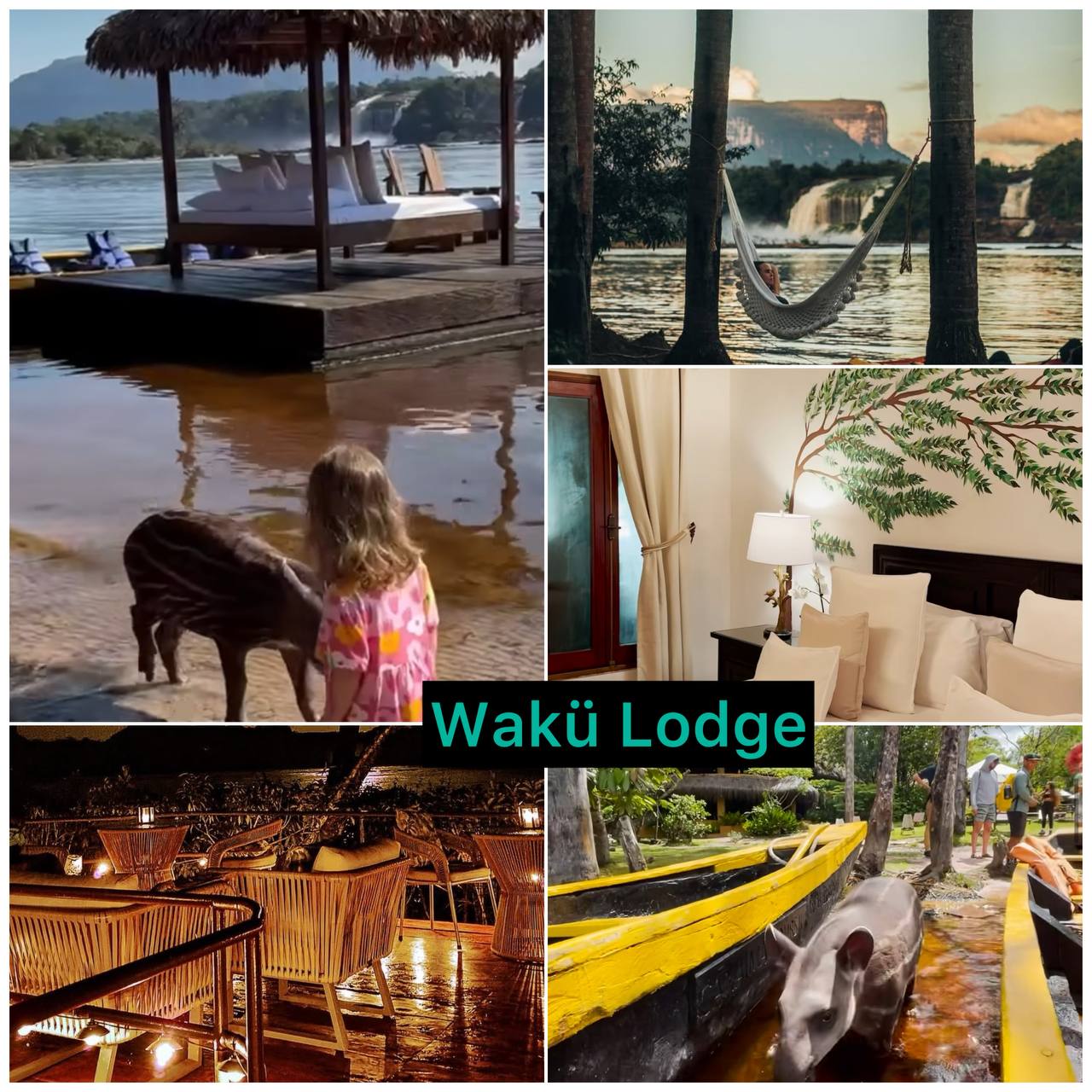 Самый высокий в мире водопад - Анхель (Национальный парк Канайма) индивидуально (20/30)