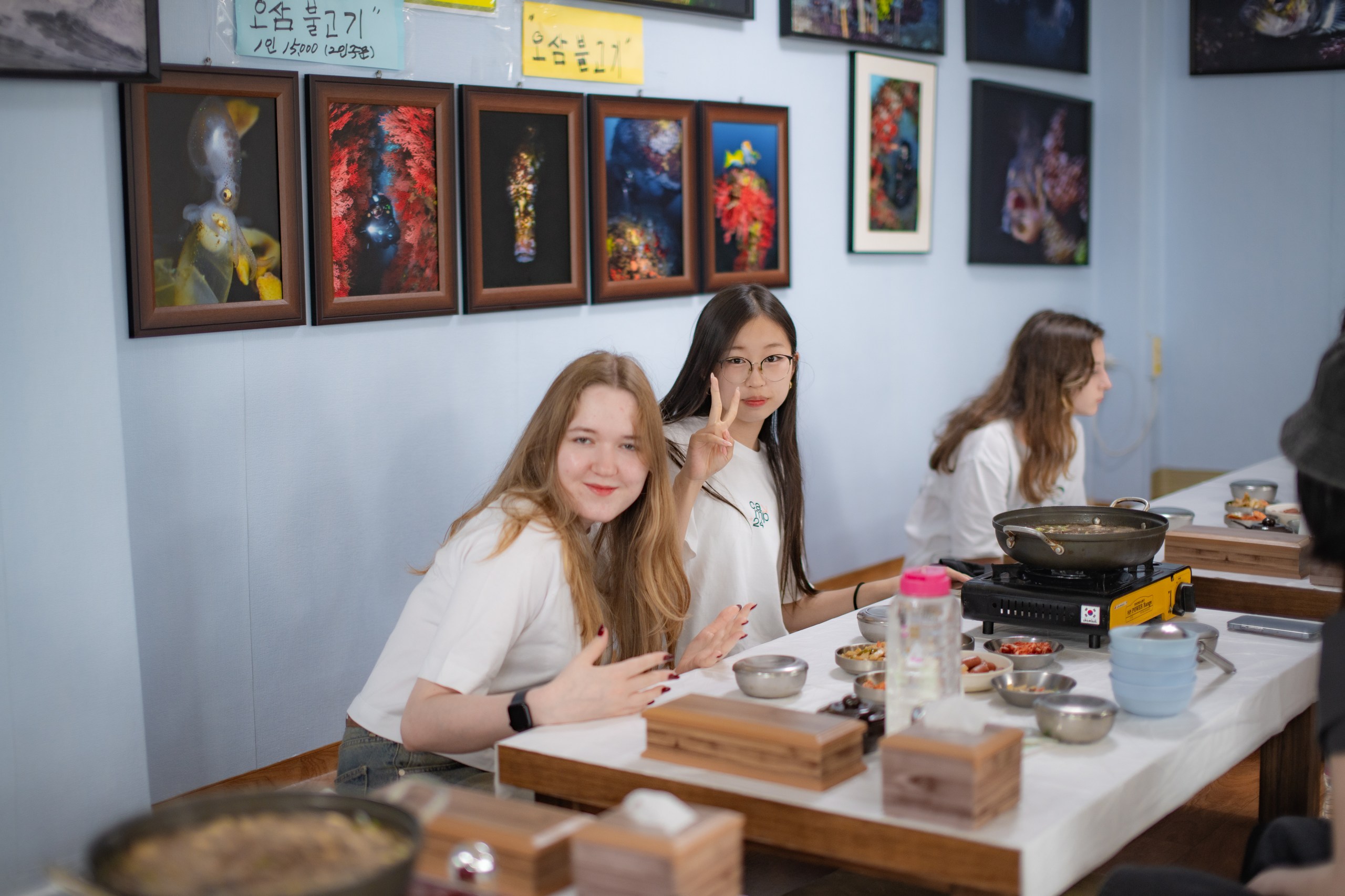 Три разные Кореи: Сеул-Йонин-Каннын (4/23)