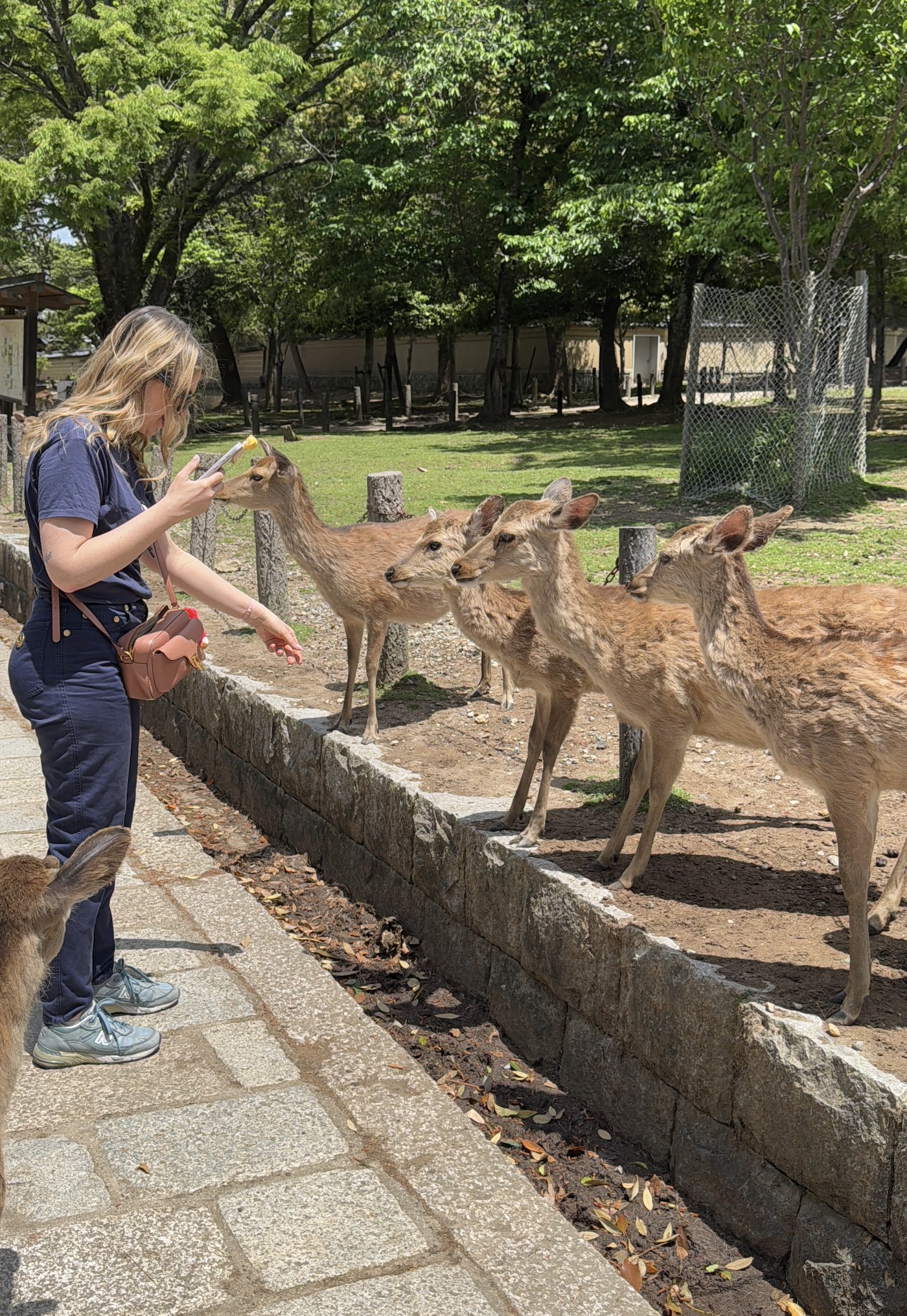 Активный тур в Японию (30/72)