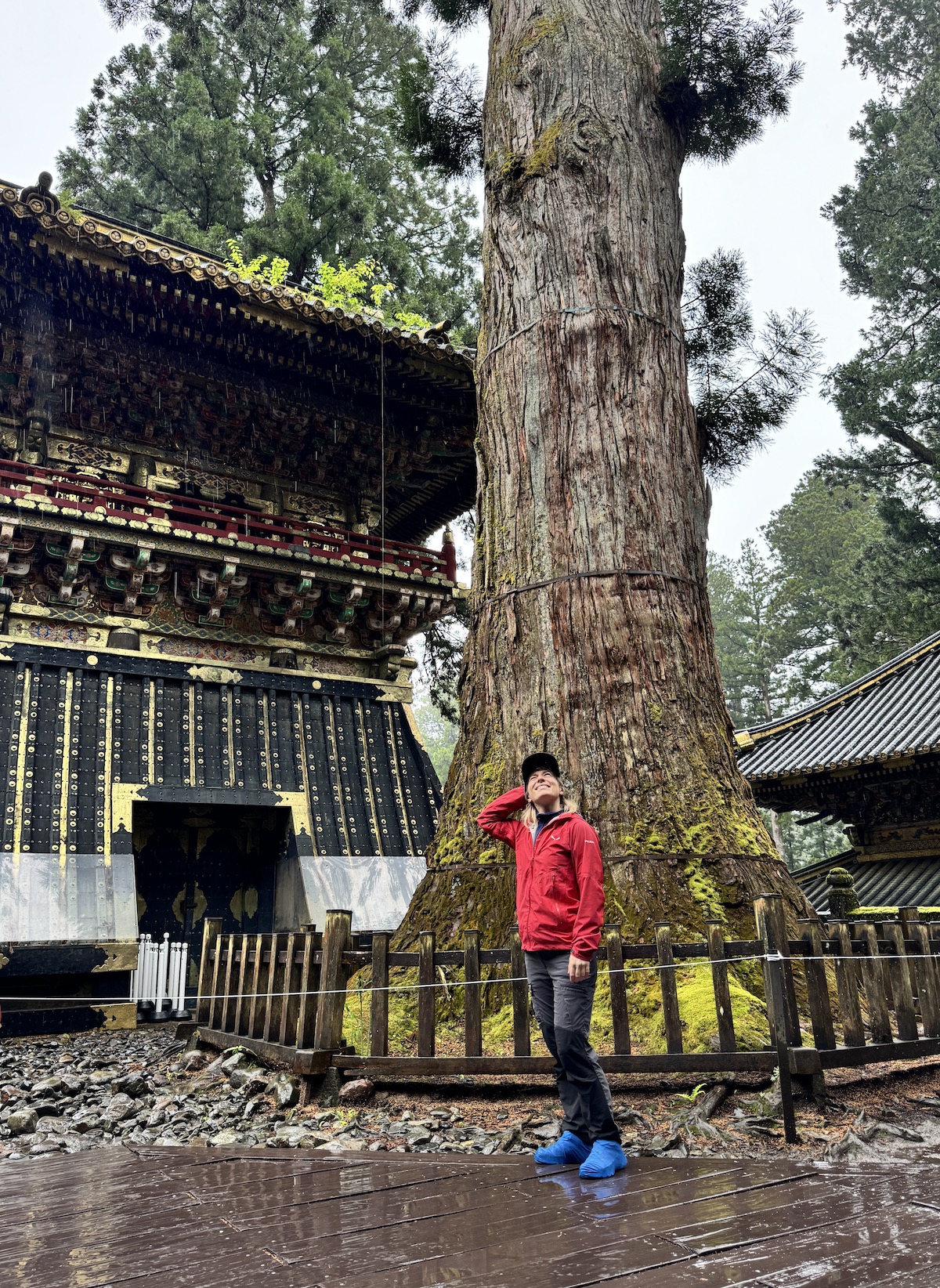 Активный тур в Японию (23/72)