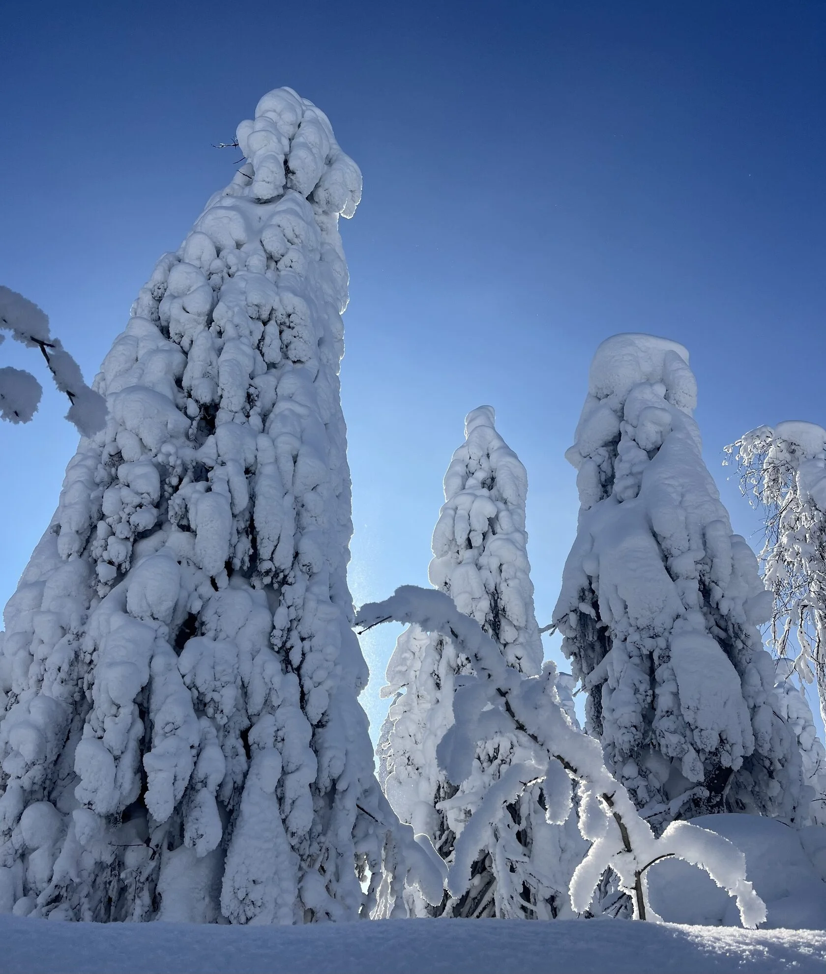 Снежные склоны Губахи: горы и драйв