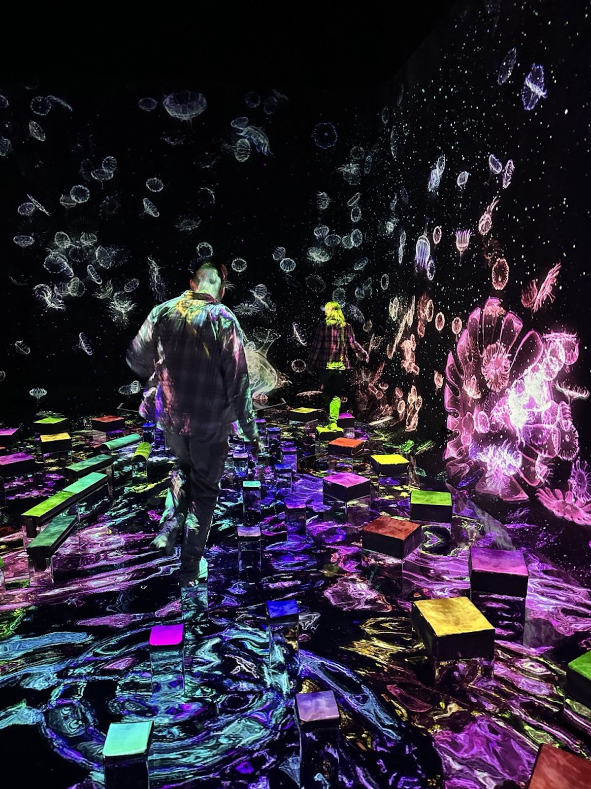 Активный тур в Японию (60/72)