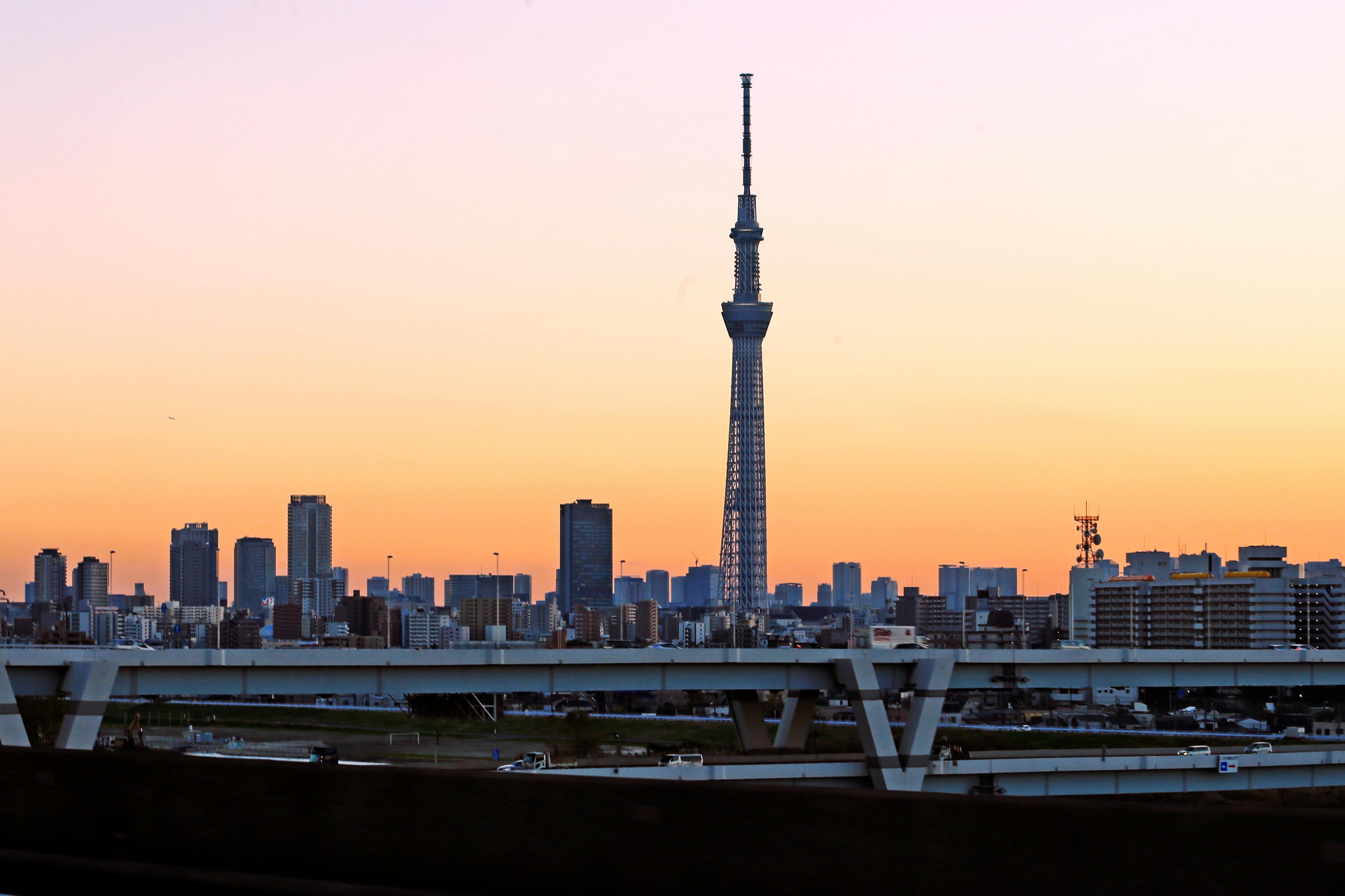 Япония: от сакуры до Фудзи. Самое интересное за 9 дней