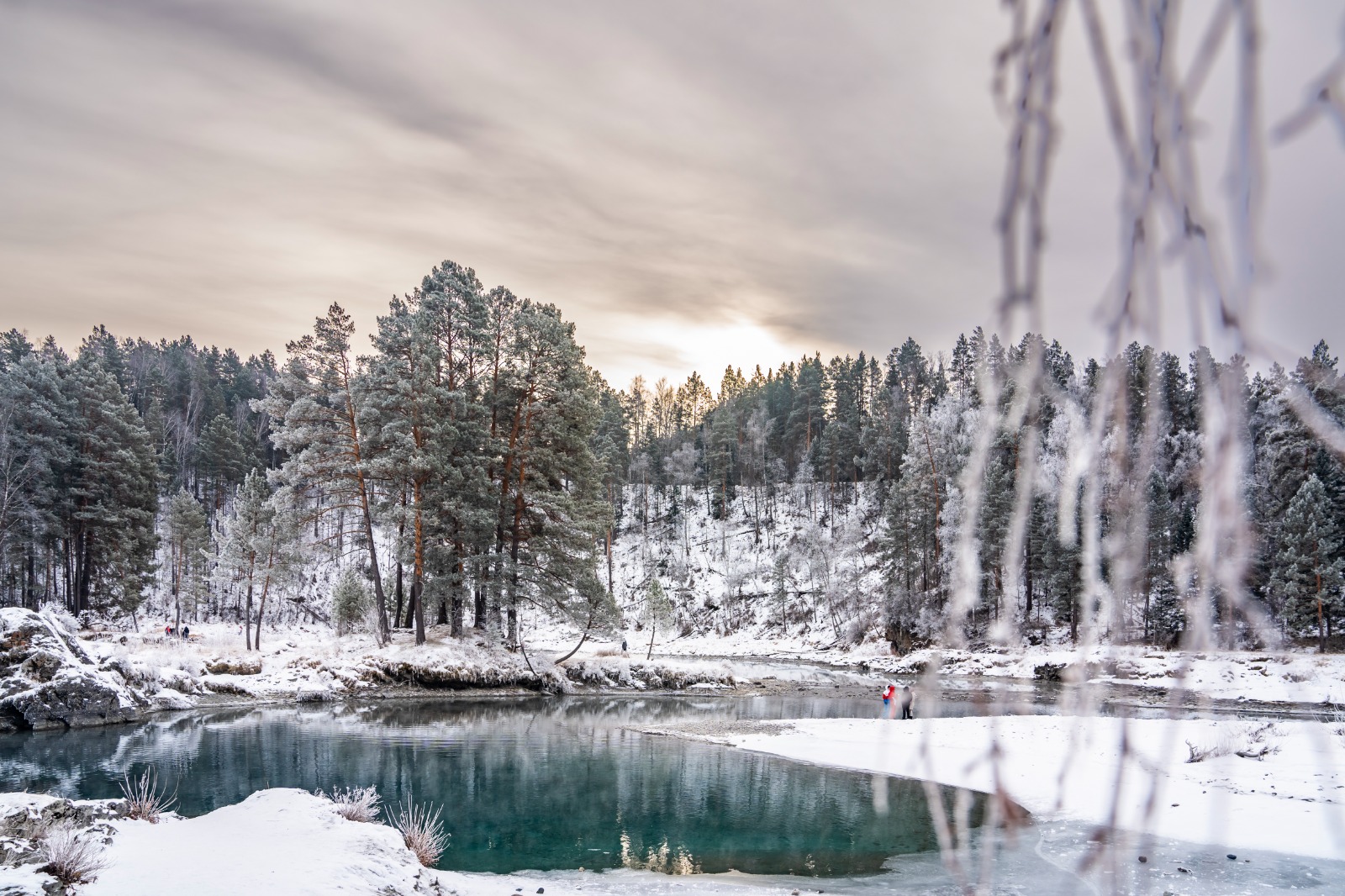 Зимняя Катунь (15/21)