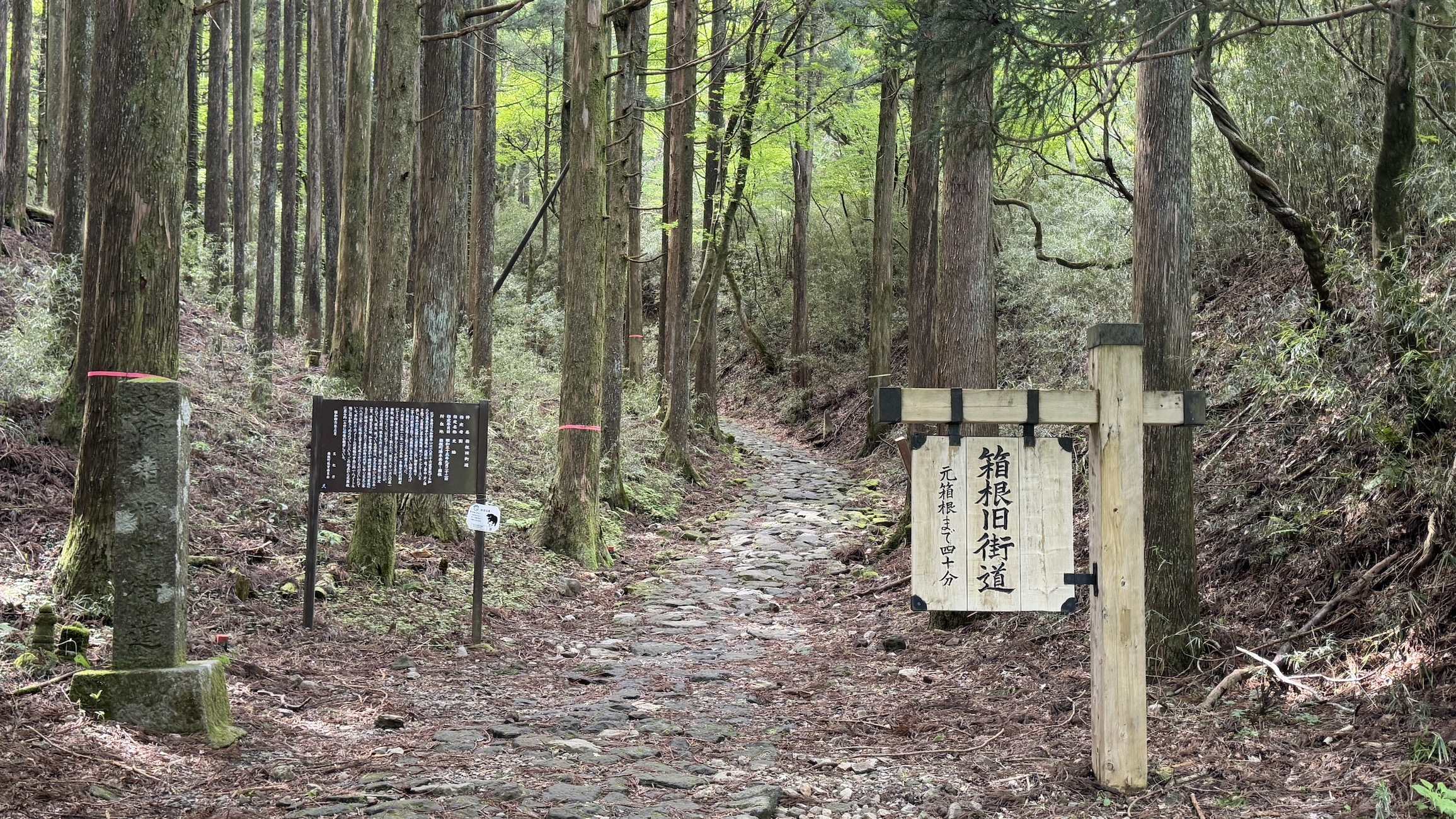 Активный тур в Японию (41/72)