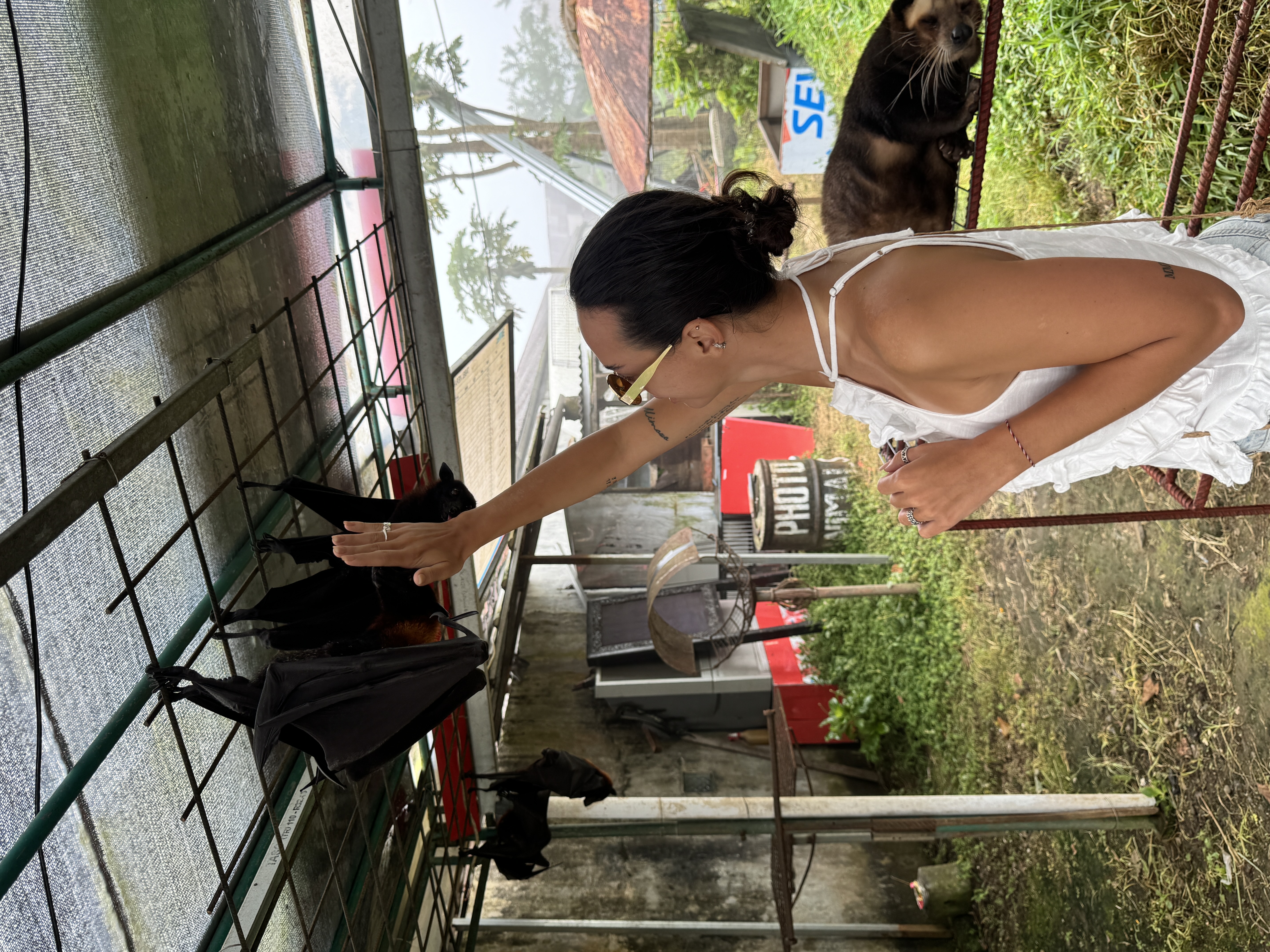 Большое приключение по Бали,Нуса Пениде и Яве с восхождением на Иджен! (157/269)