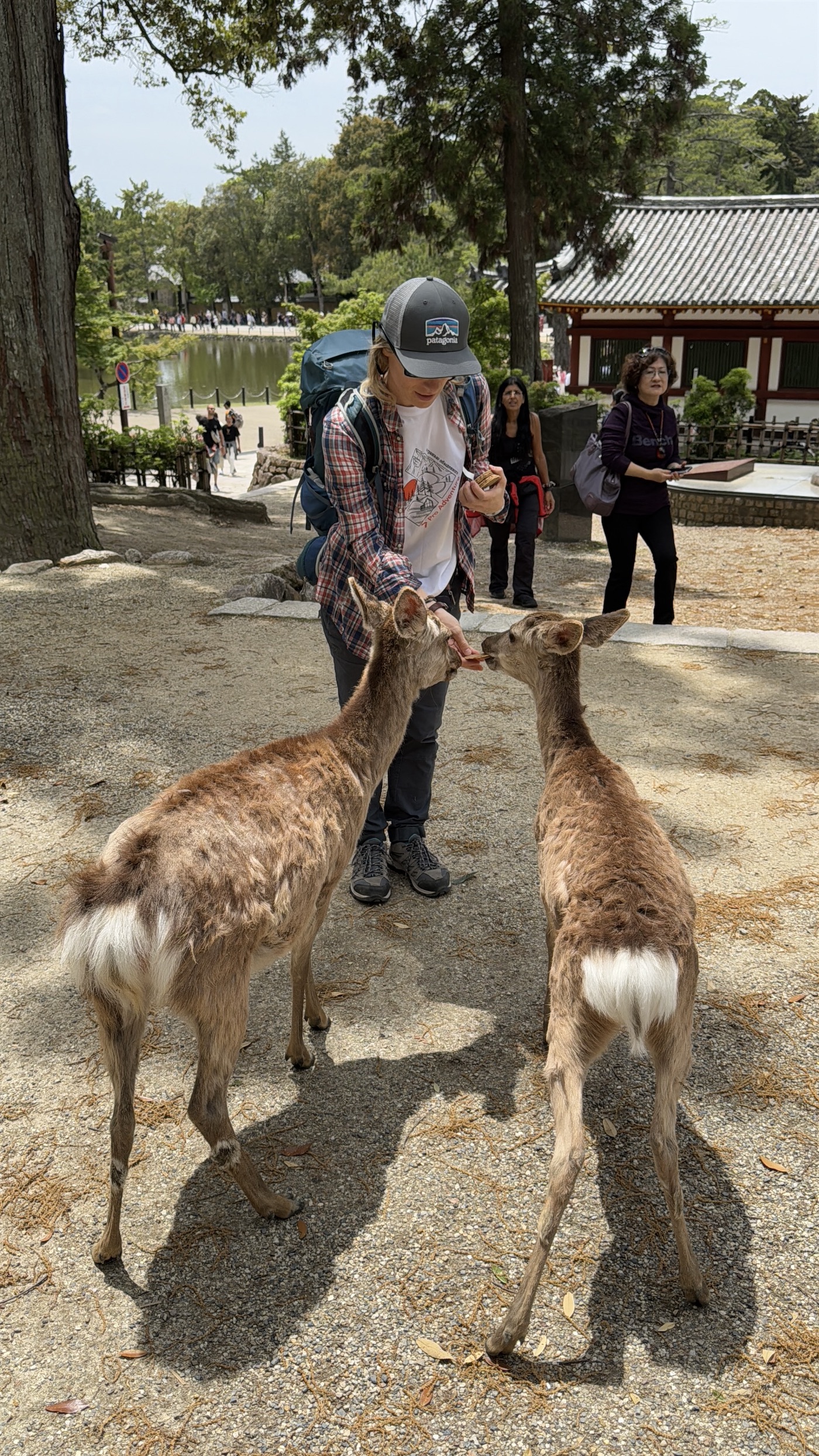 Активный тур в Японию (45/72)