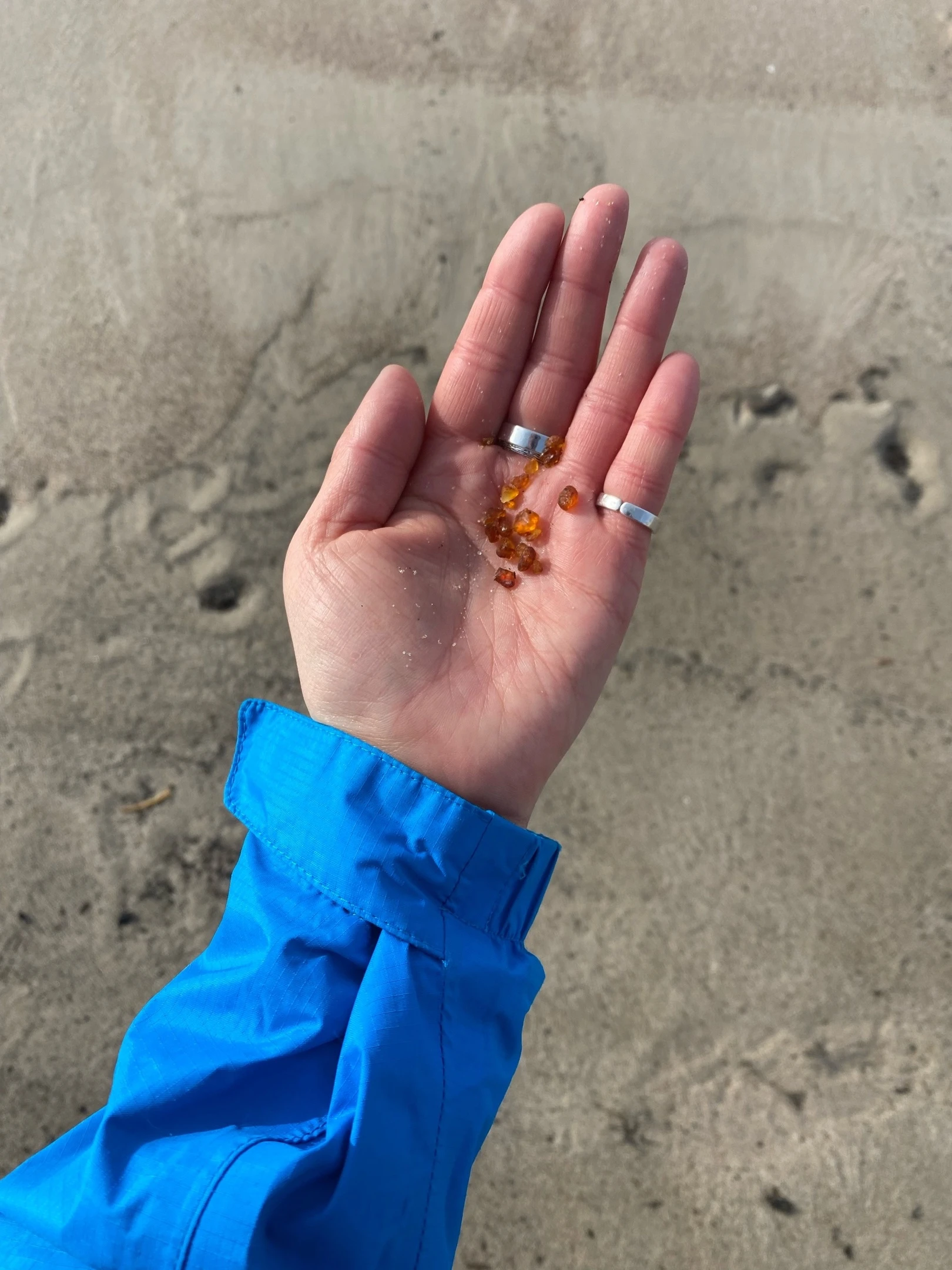 Семейный Калининград: путешествие в янтарный край и сказочное Средневековье (6+) (4/26)