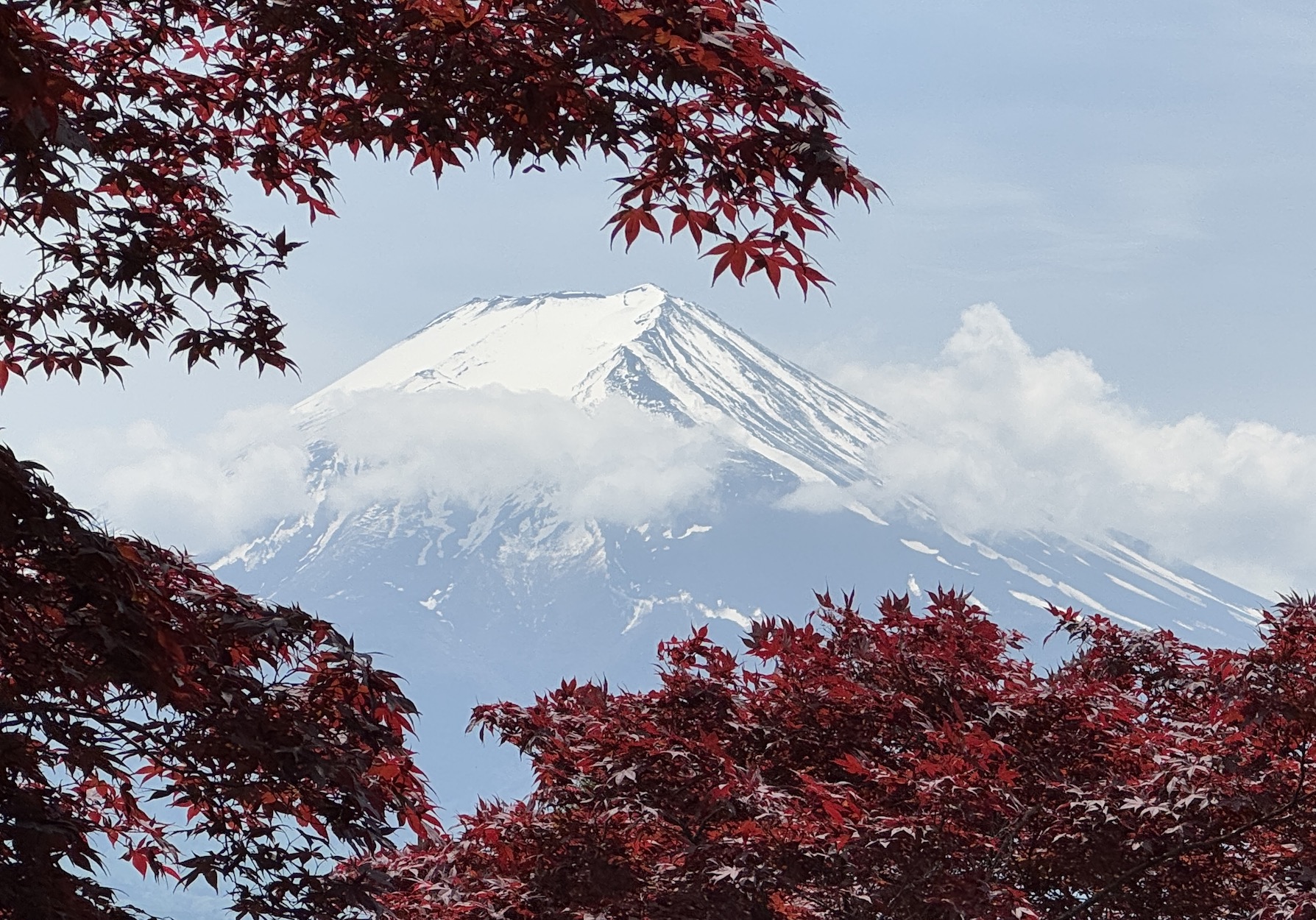 Активный тур в Японию (47/72)