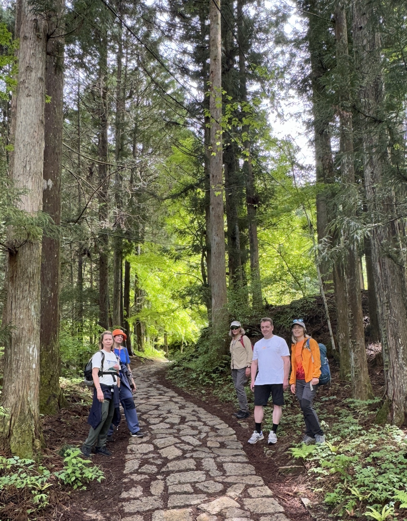 Активный тур в Японию (36/72)