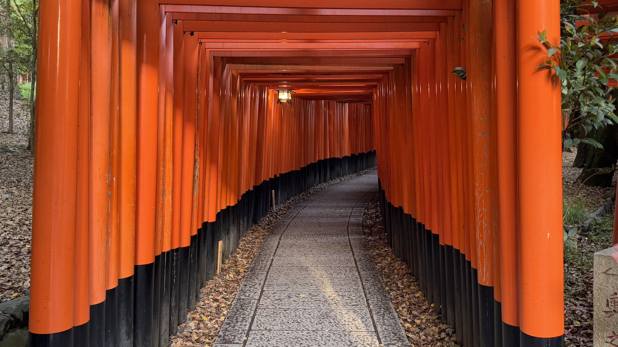 Активный тур в Японию (29/72)