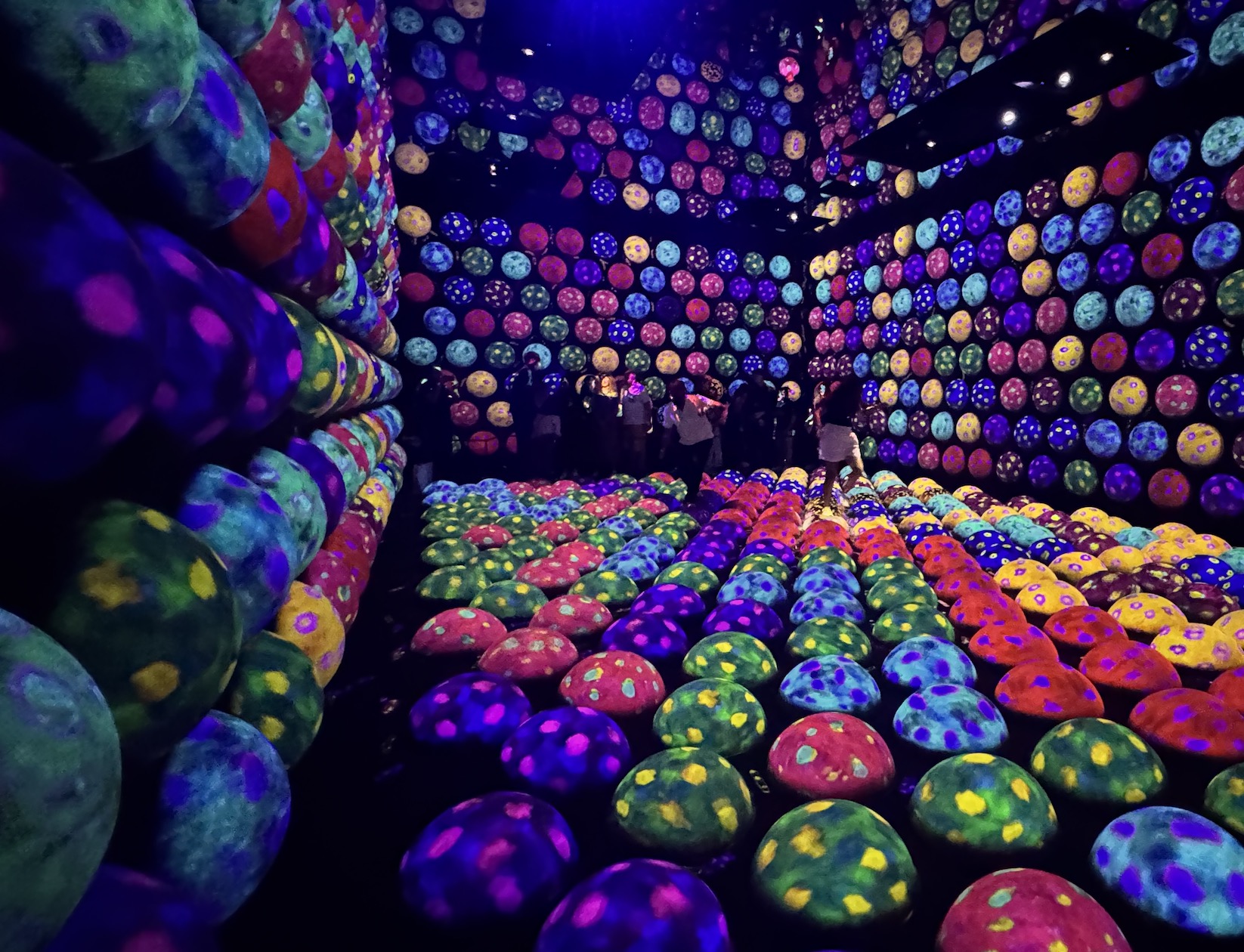 Активный тур в Японию (52/72)