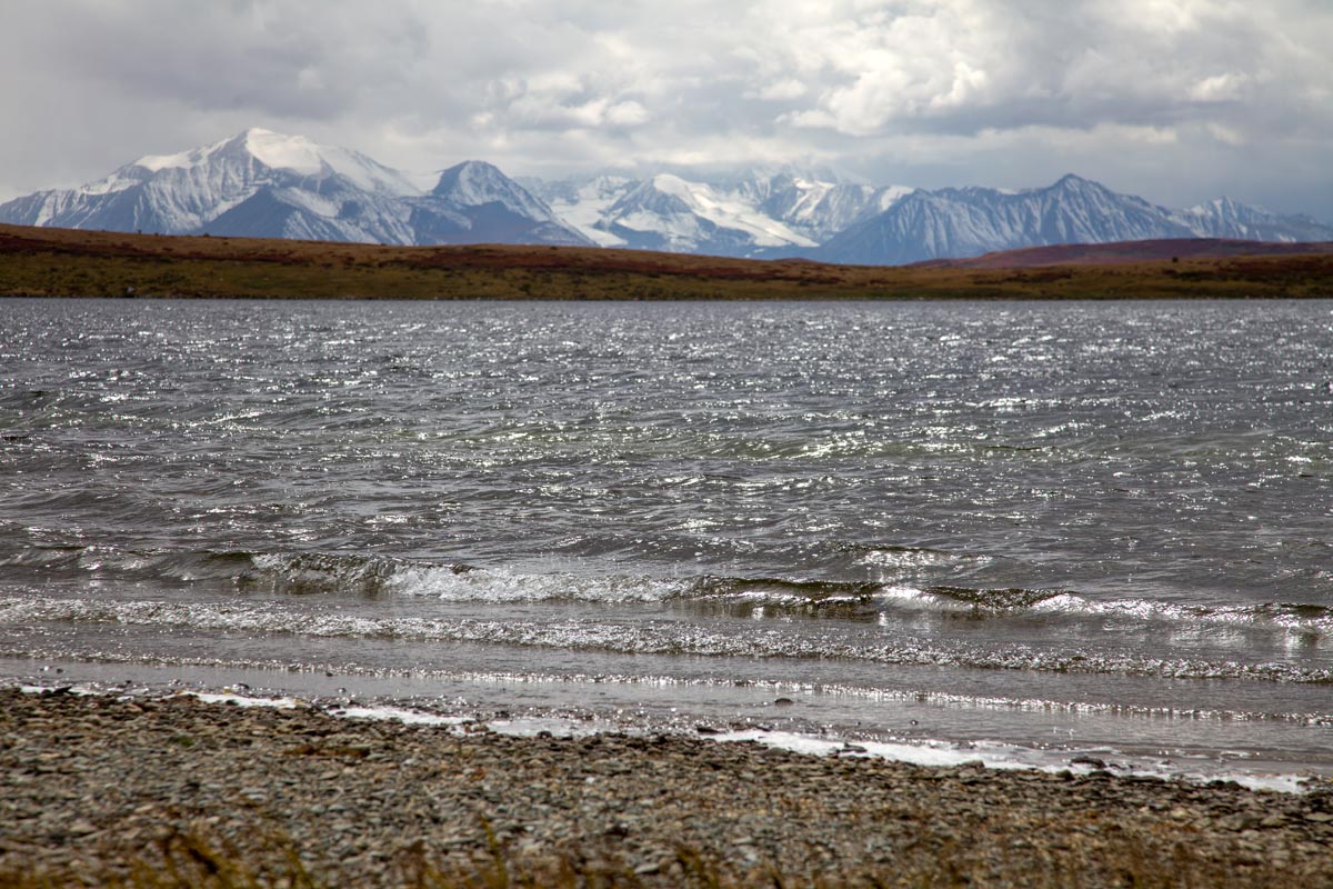 Тур на плато Укок 5 дней (15/31)