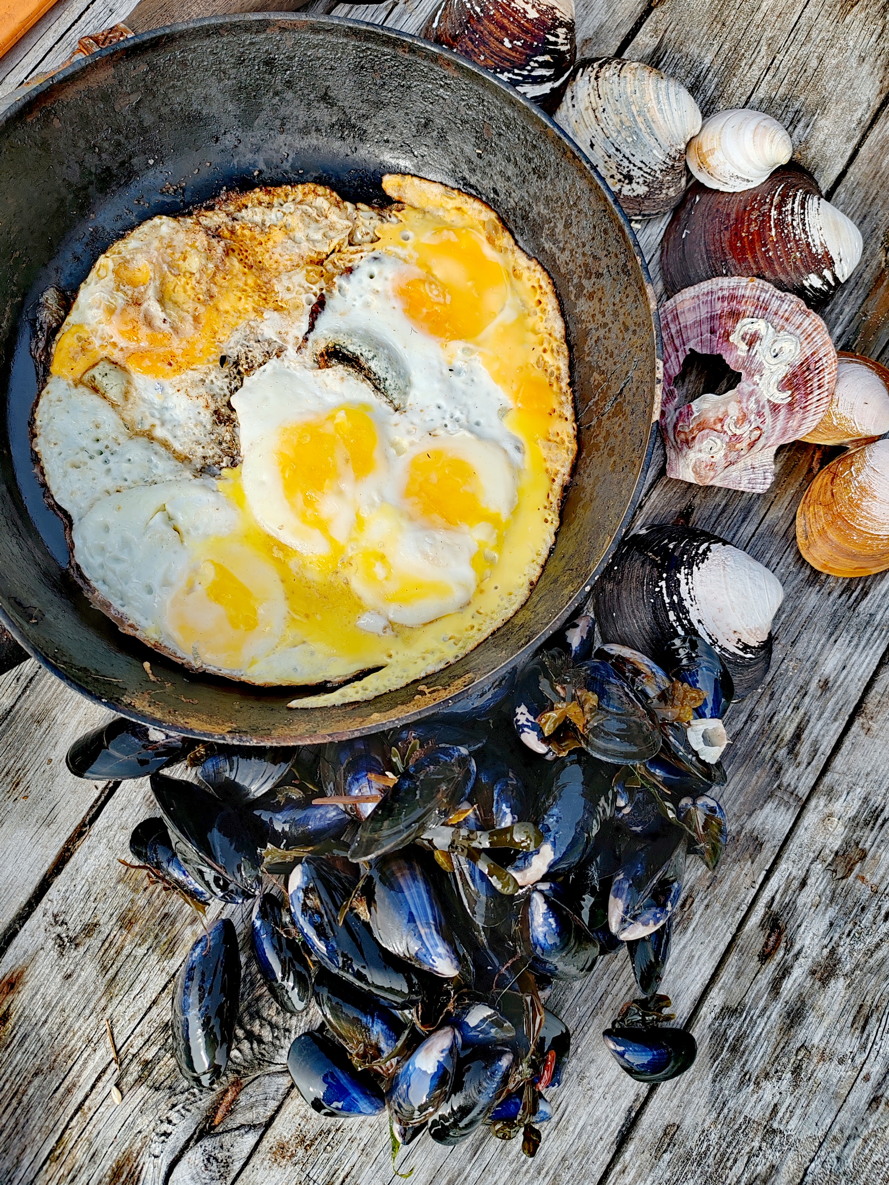 Песчаные пляжи Северного Ледовитого океана (19/27)