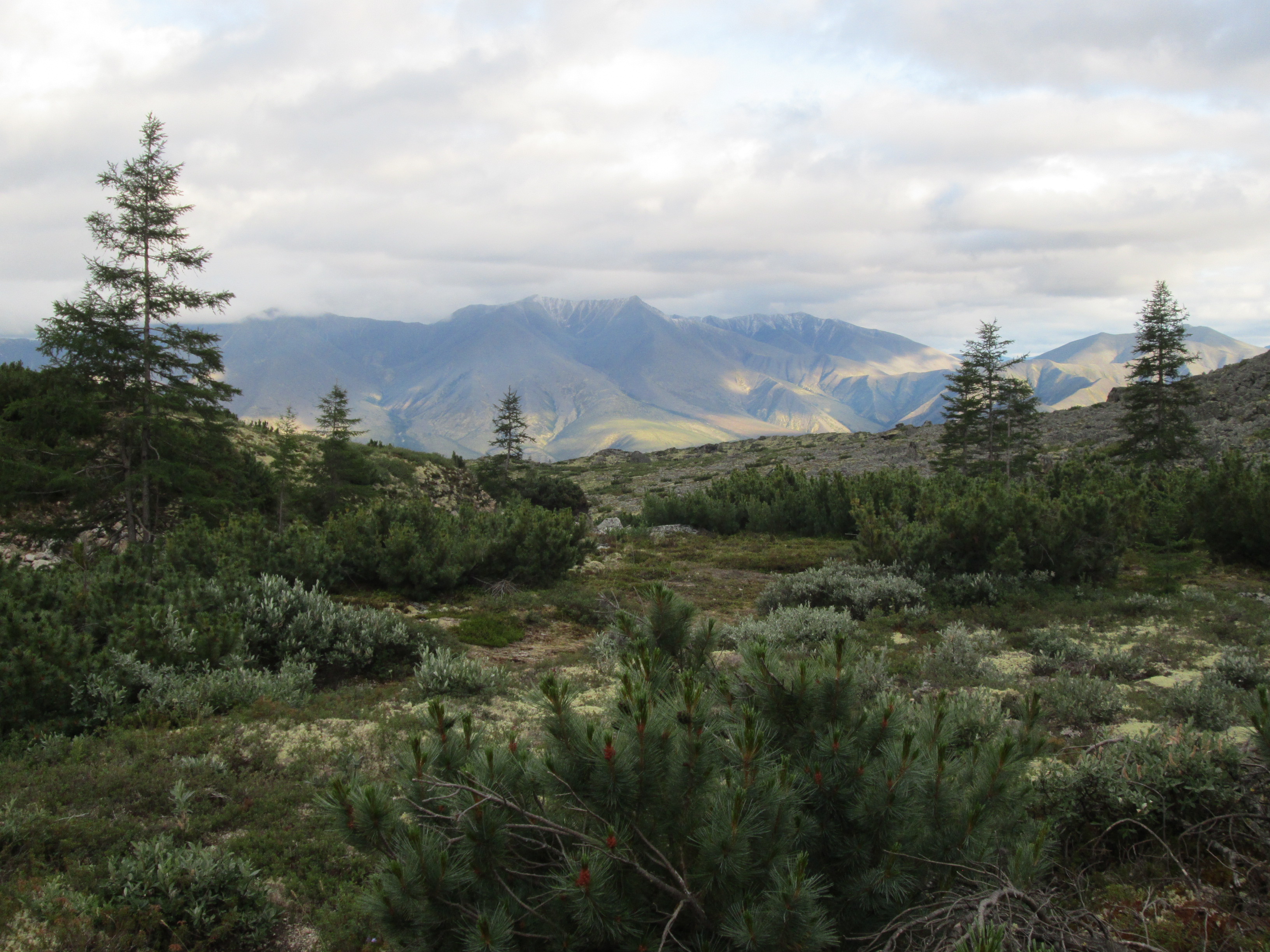 Пеший поход по Якутии, хребту Черского (3/26)