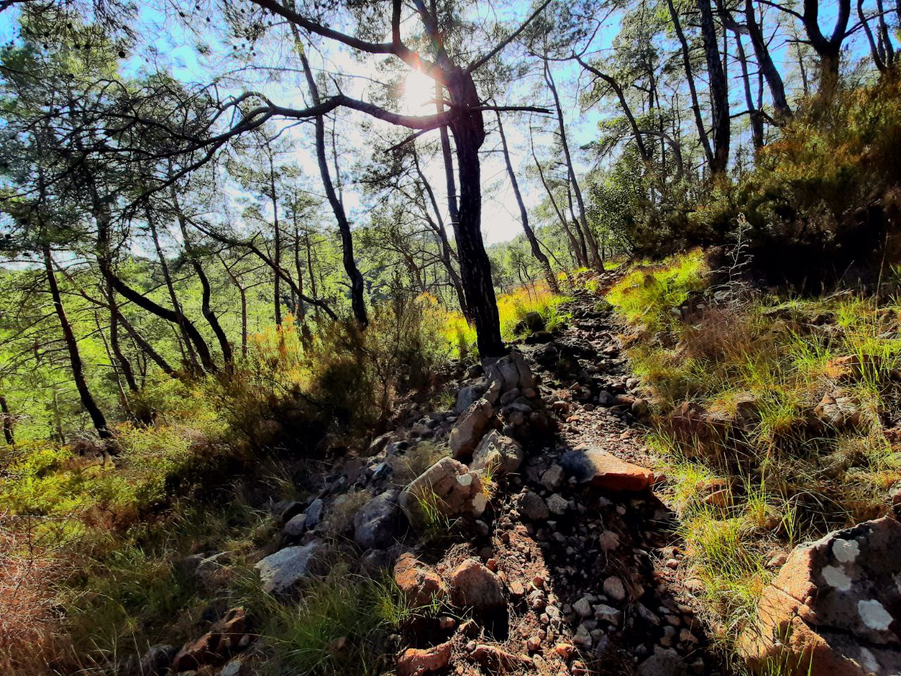 Майдфулнесс-поход: Восточная Ликийская тропа (3/8)