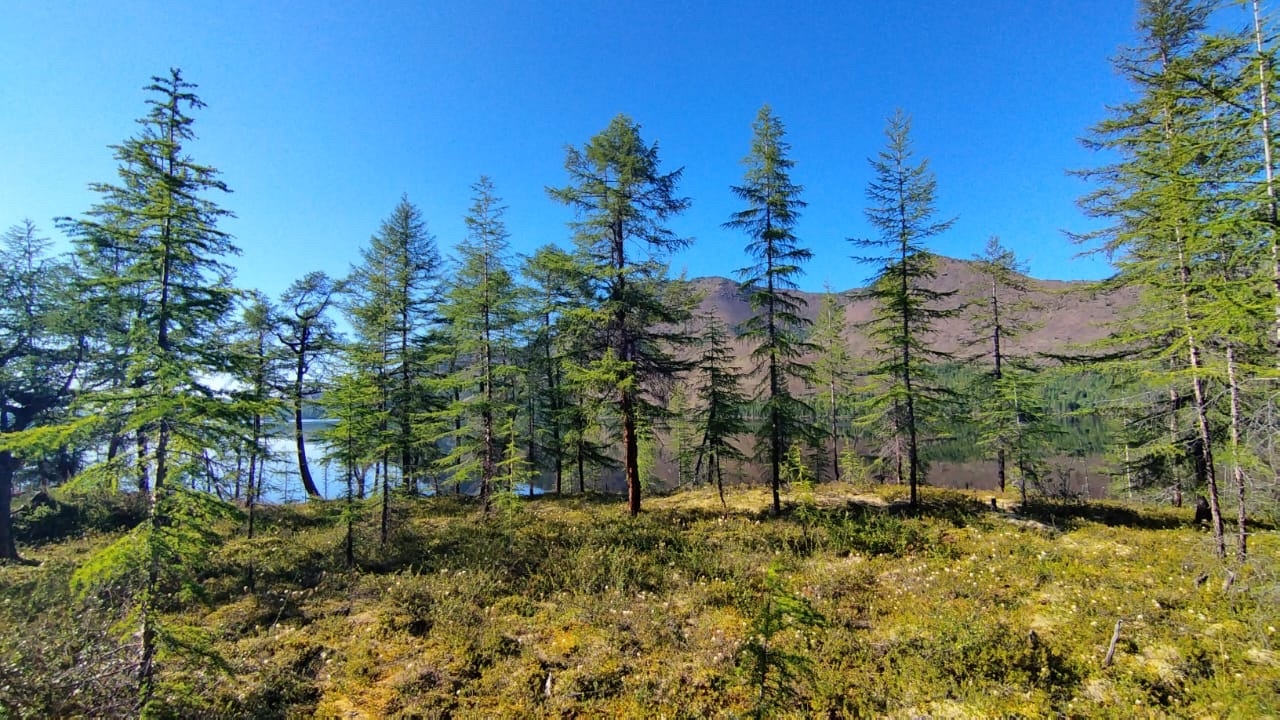 Ралли Якутск - Магадан: Колымская трасса (11/50)