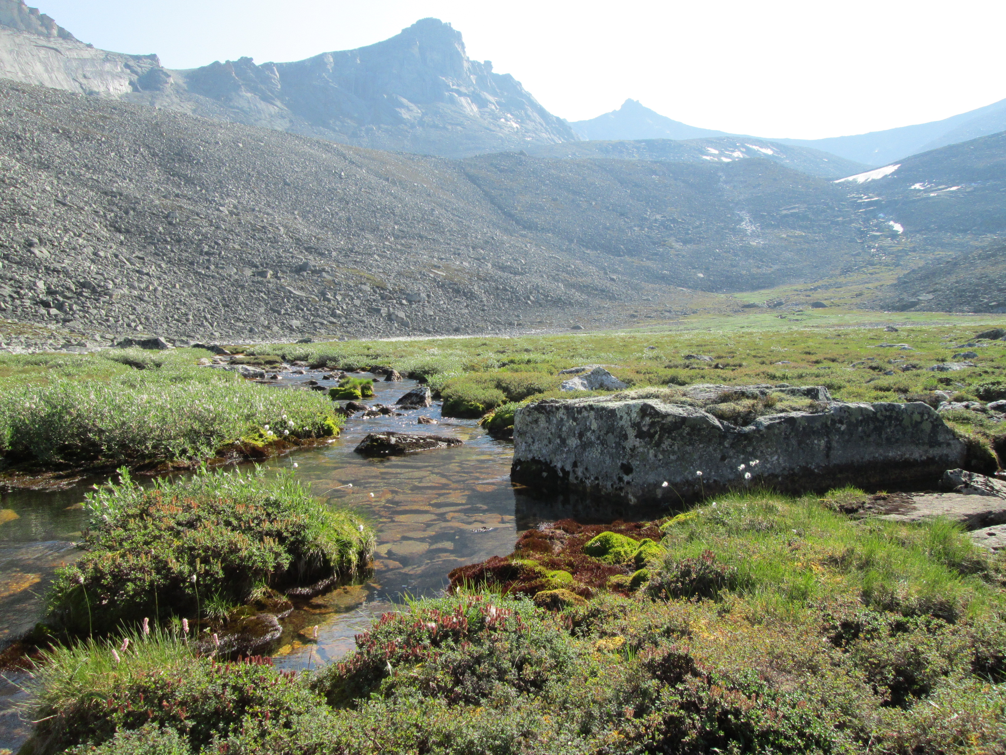 Пеший поход по Якутии, хребту Черского (8/26)