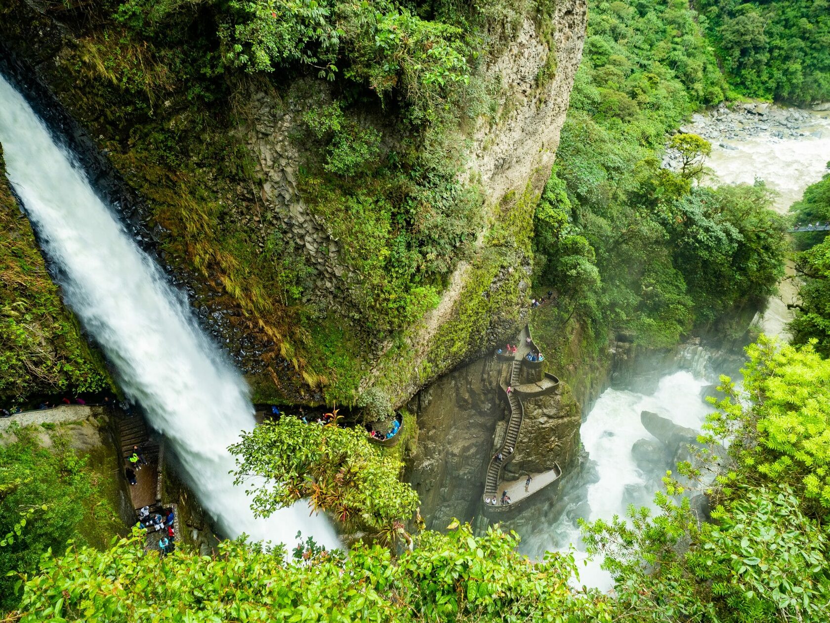 Эквадор: Экспедиция с биологом в джунгли Амазонии на вулкан Котопахи и озеро Килотоа (2/8)