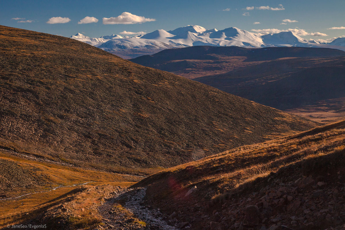 Тур на плато Укок 5 дней (2/31)