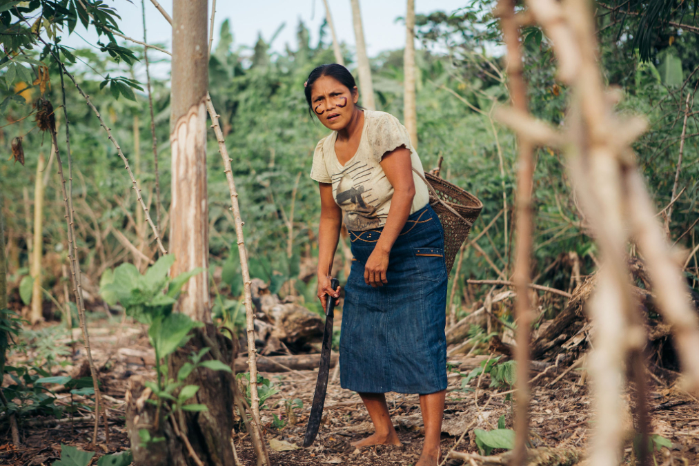 Эквадор: Экспедиция с биологом в джунгли Амазонии на вулкан Котопахи и озеро Килотоа (7/8)