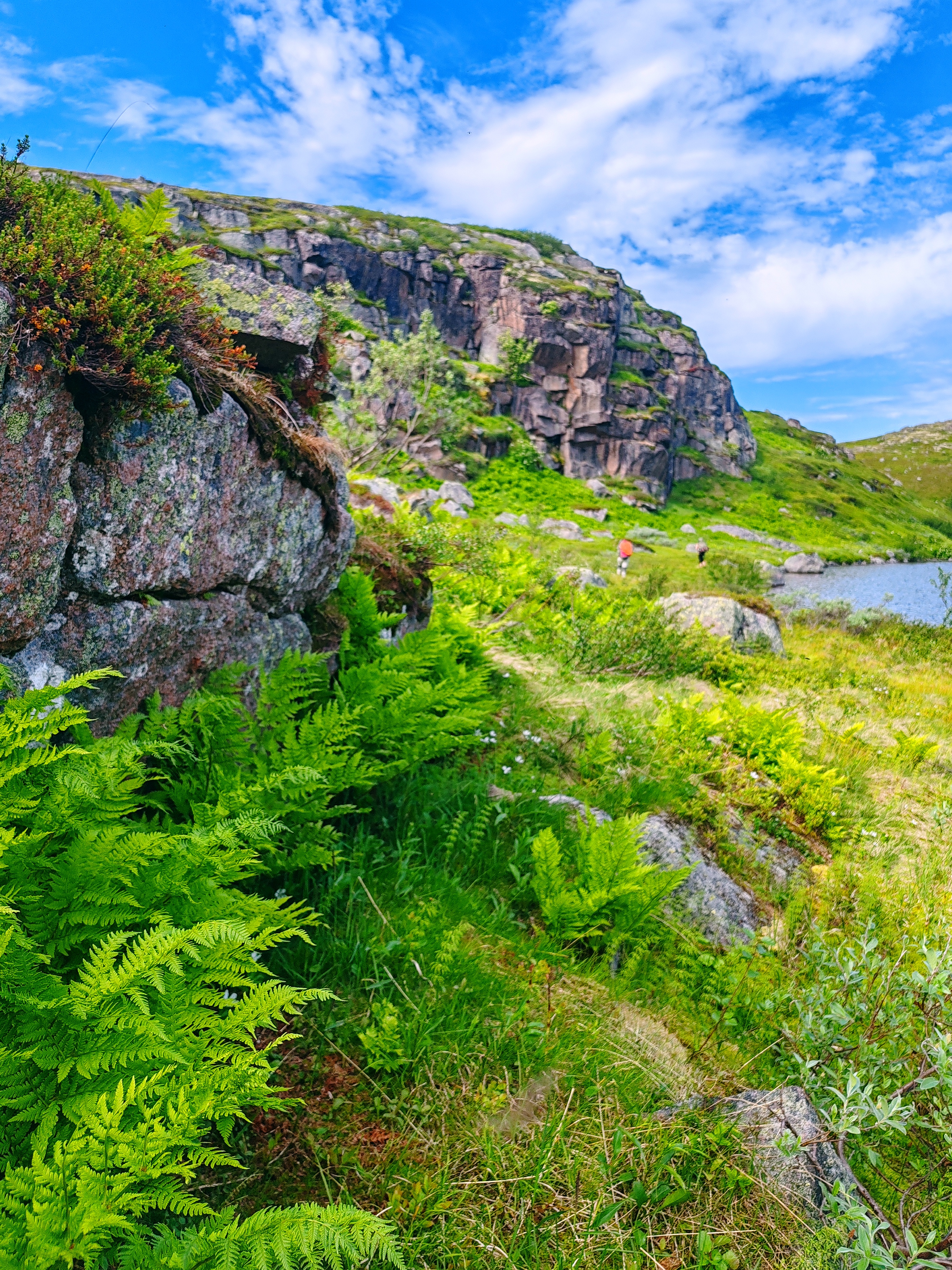 Песчаные пляжи Северного Ледовитого океана (16/27)