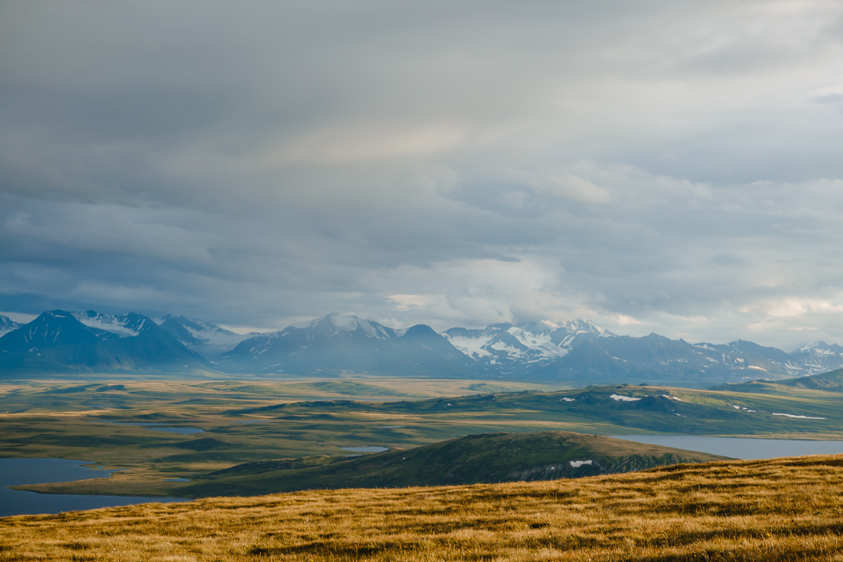 Легендарное алтайское плато Укок на авто! Экспедиция в центр Евразии. (22/44)