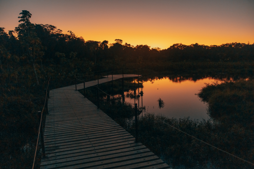 Эквадор: Экспедиция с биологом в джунгли Амазонии на вулкан Котопахи и озеро Килотоа (4/8)