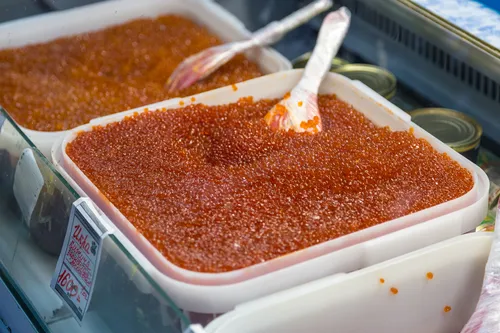 Осенние контрасты Камчатки (19/53)