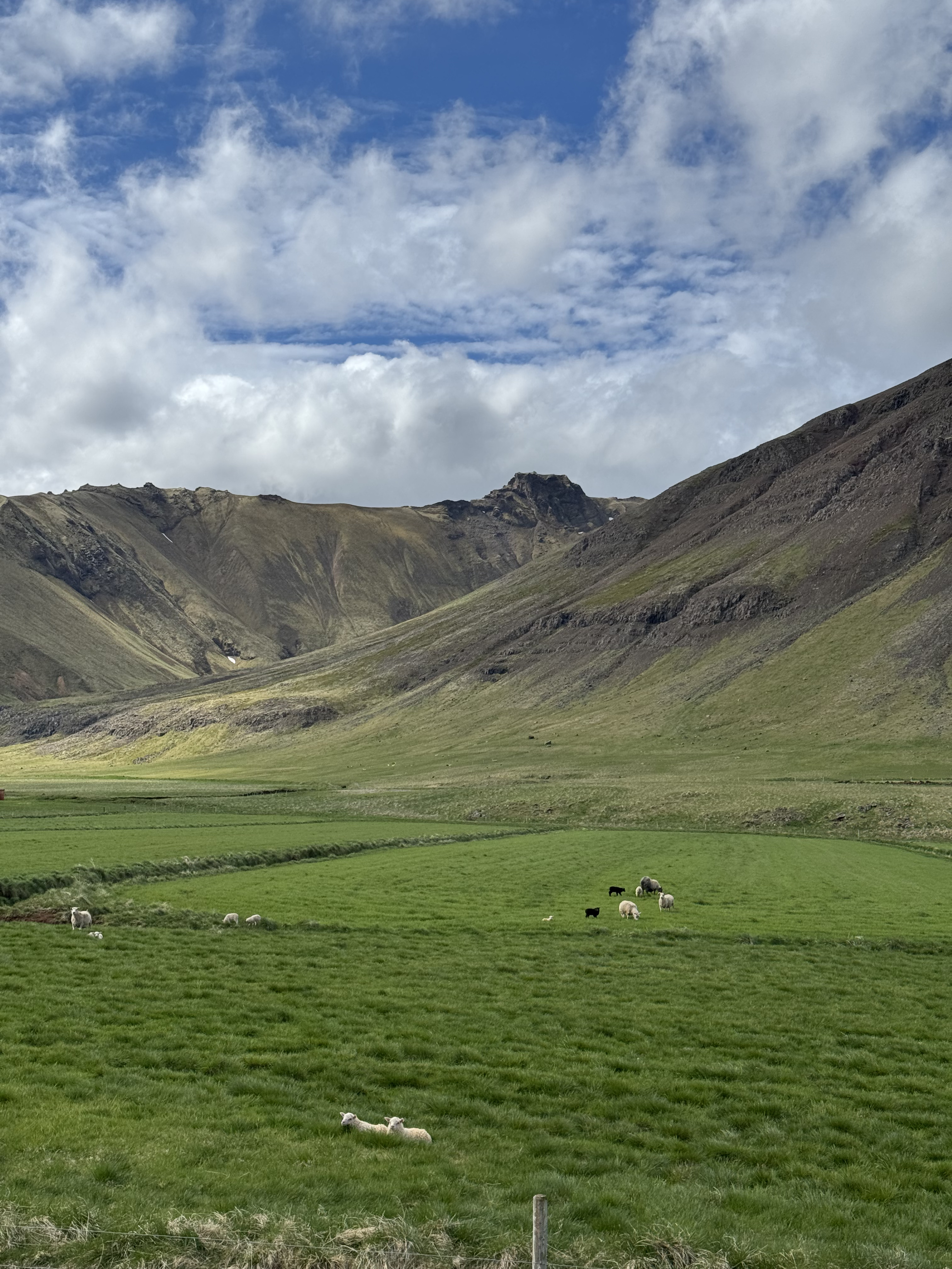 Исландия - путешествие в страну огня, льда и китов (19/71)